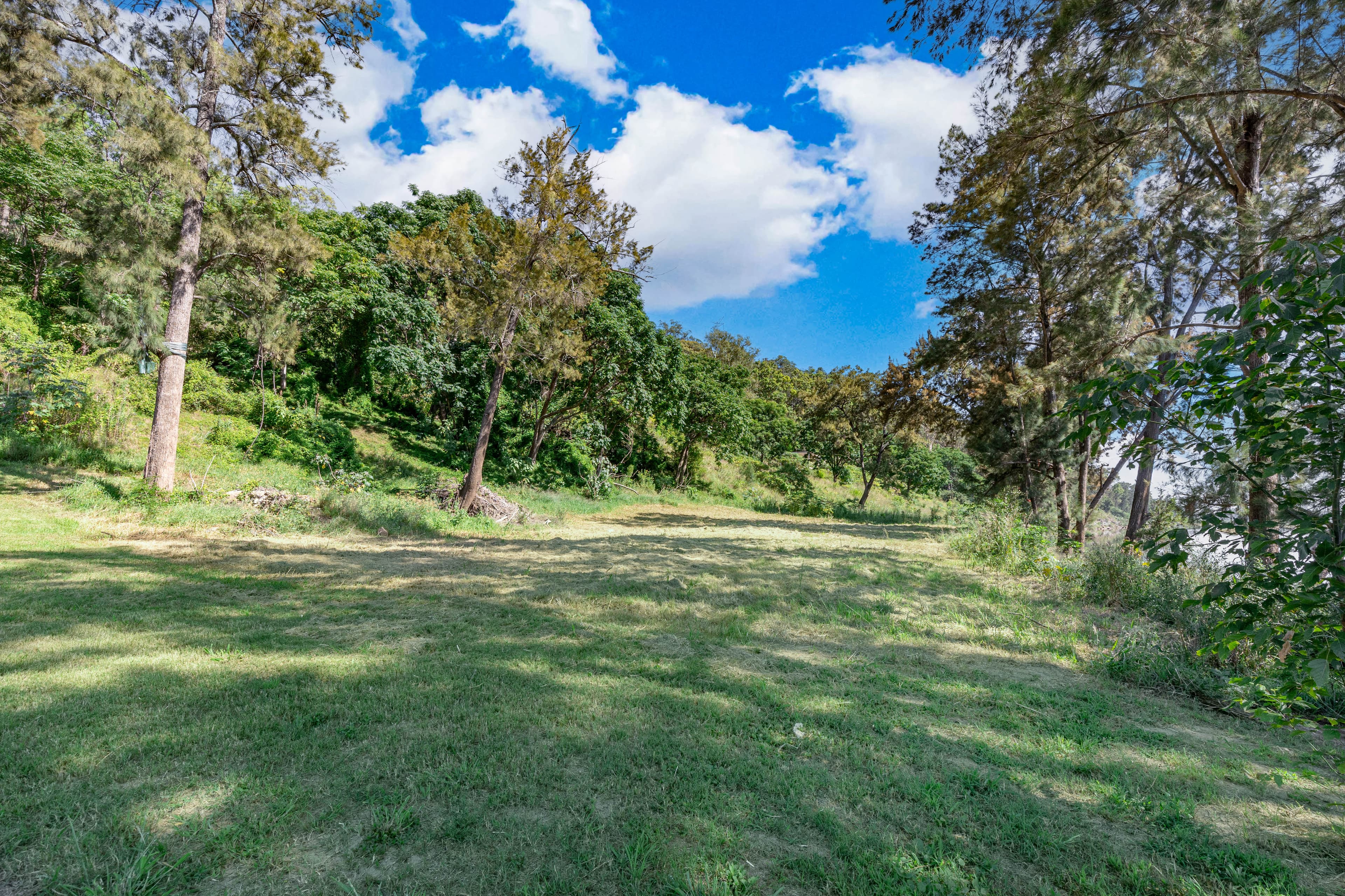 33 Riverbank Drive, EMU HEIGHTS, Emu Heights - Thumbnail 3