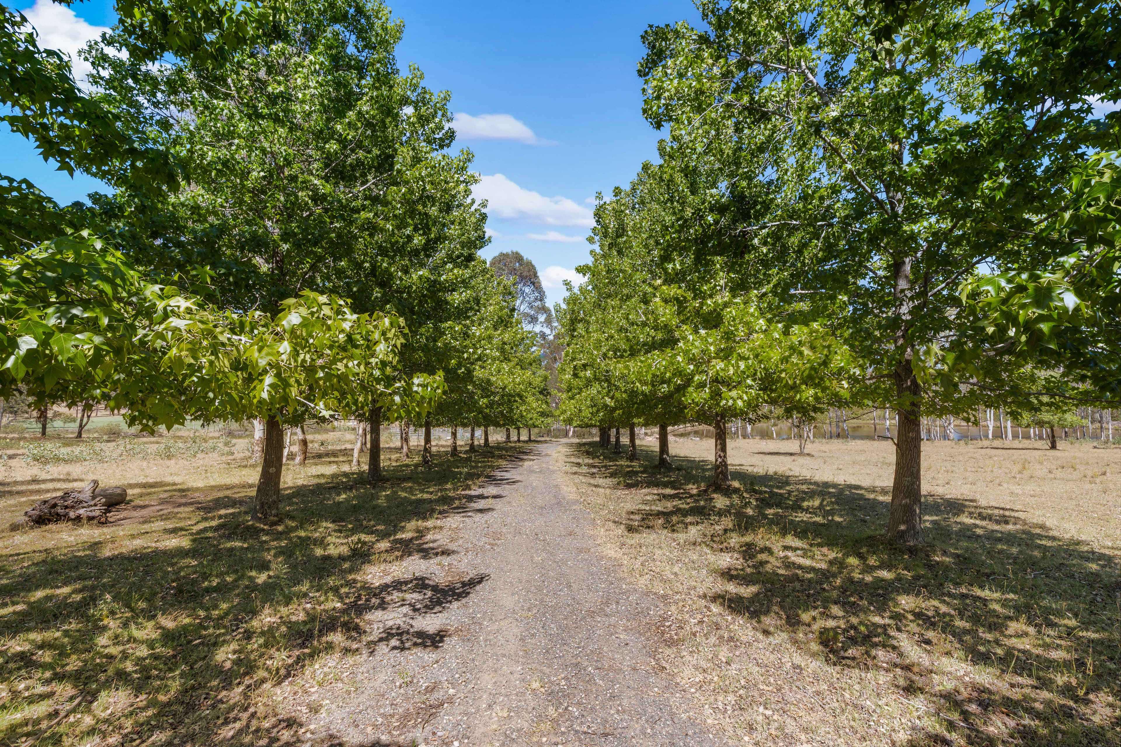 40-46 Henry Cox Drive, MULGOA, Mulgoa - Image 1