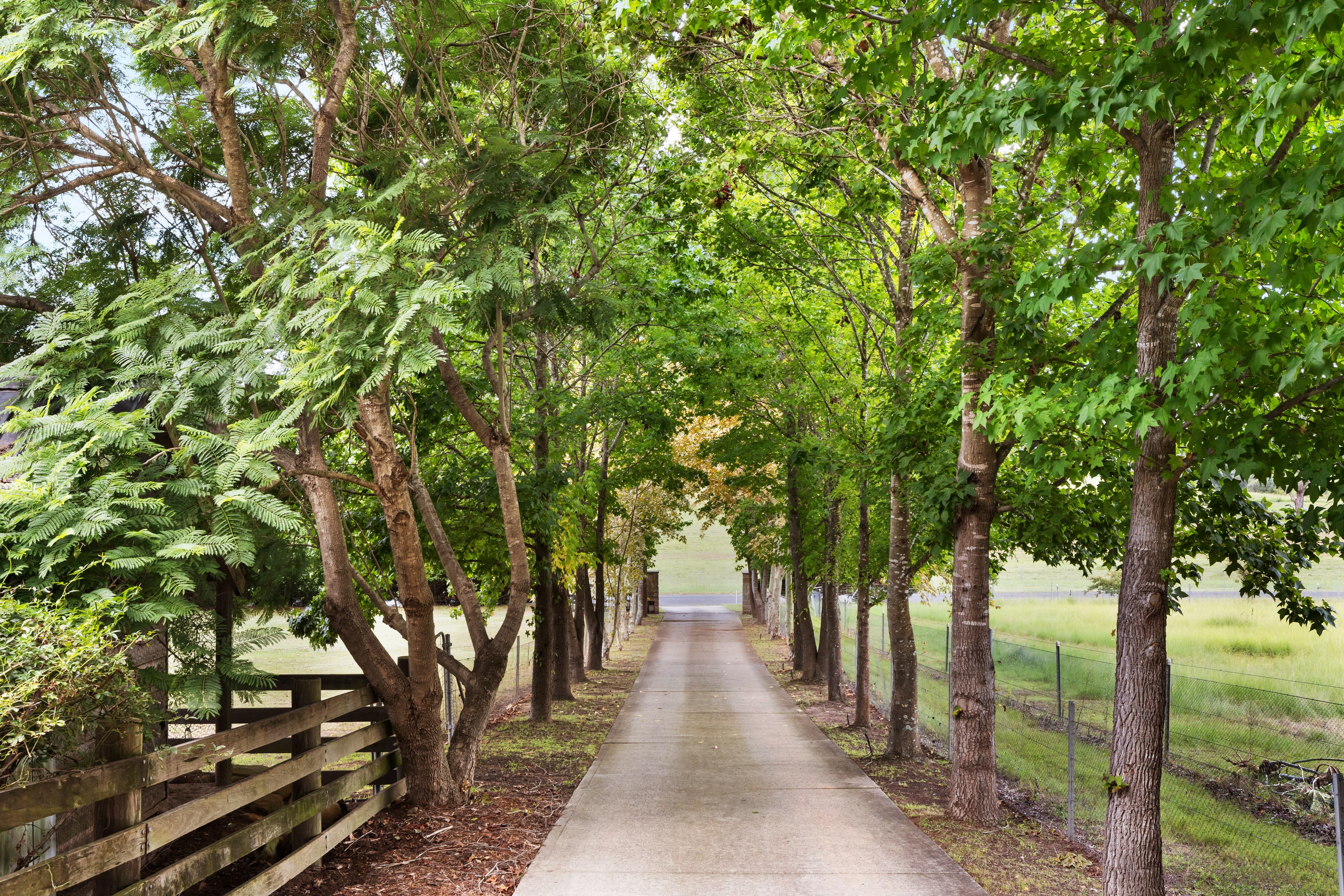 300 Bents Basin Road, WALLACIA, Wallacia - Thumbnail 2