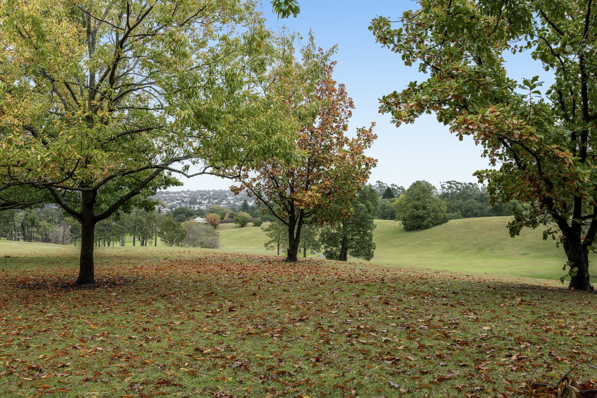 48 Stuart Street, Mount Lofty - Thumbnail 2