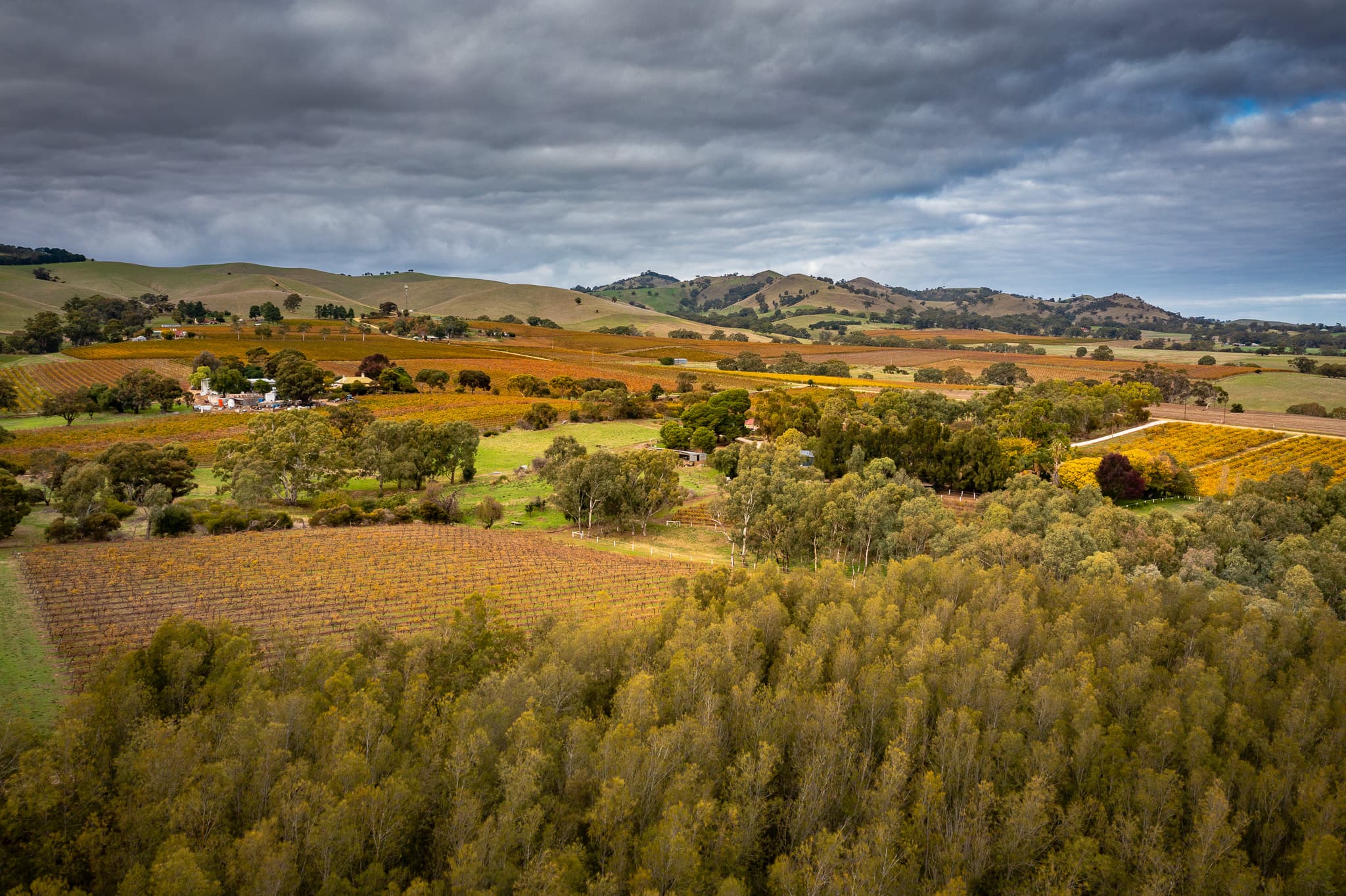 127 Steingarten Road, ROWLAND FLAT, Rowland Flat - Thumbnail 3