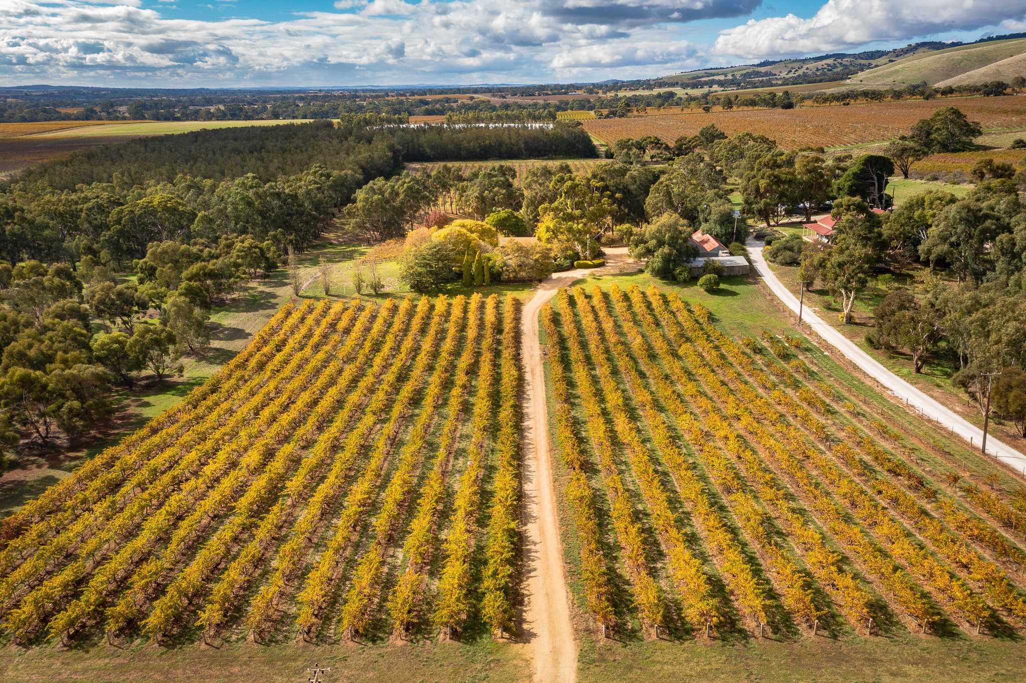 127 Steingarten Road, ROWLAND FLAT, Rowland Flat - Thumbnail 2
