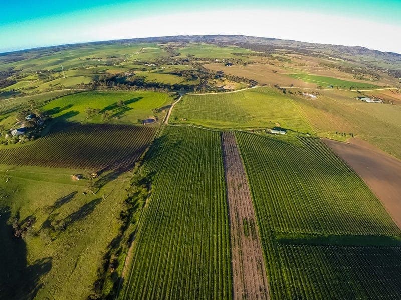 344 Rosedale Scenic Road, LYNDOCH, Lyndoch - Thumbnail 2
