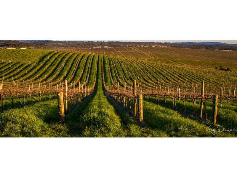 344 Rosedale Scenic Road, LYNDOCH, Lyndoch - Thumbnail 3