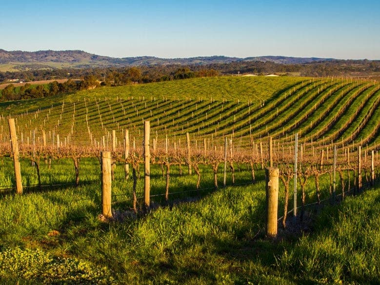 344 Rosedale Scenic Road, LYNDOCH, Lyndoch - Thumbnail 4