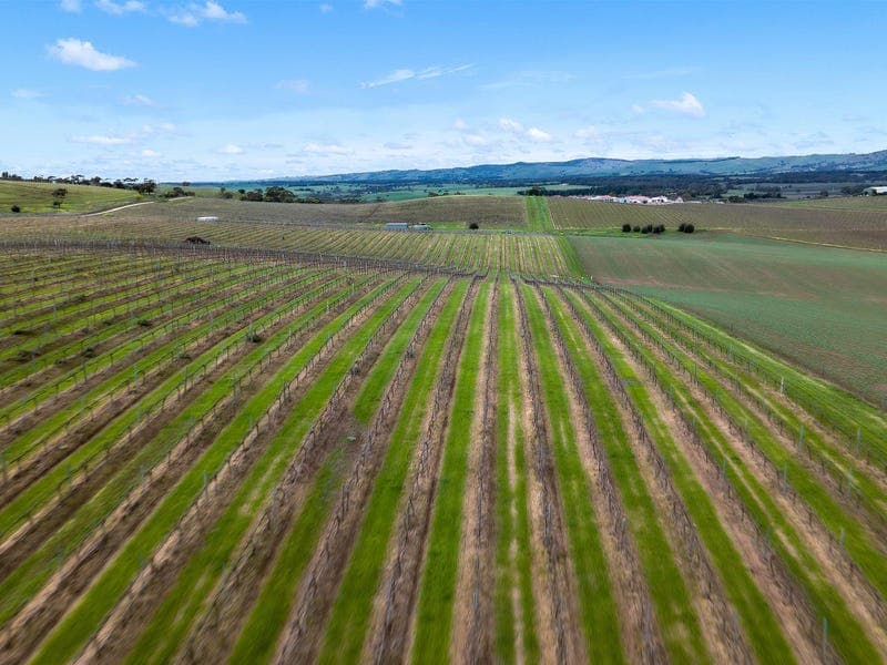 344 Rosedale Scenic Road, LYNDOCH, Lyndoch - Thumbnail 7