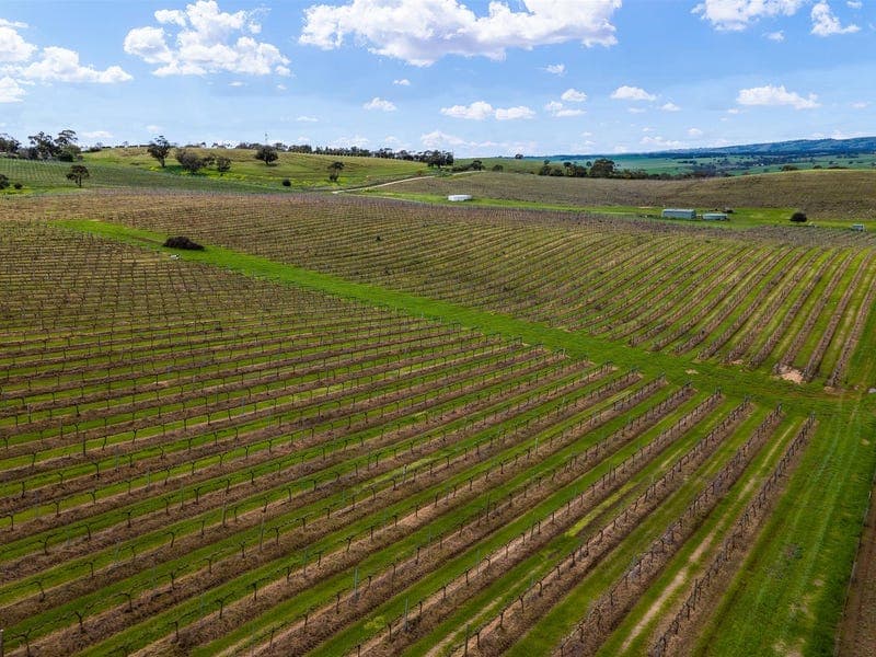 344 Rosedale Scenic Road, LYNDOCH, Lyndoch - Thumbnail 8