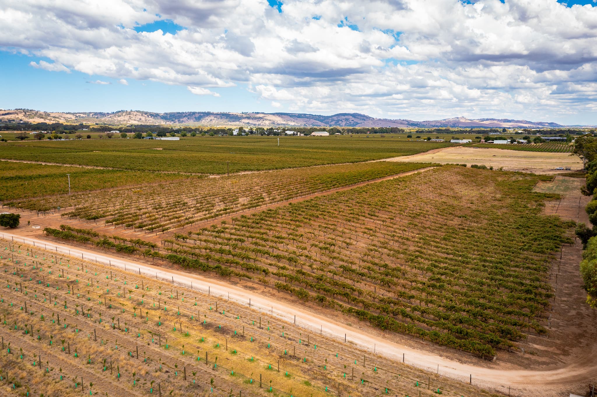 Lot 91 Nuraip Road, NURIOOTPA, Nuriootpa - Thumbnail 3