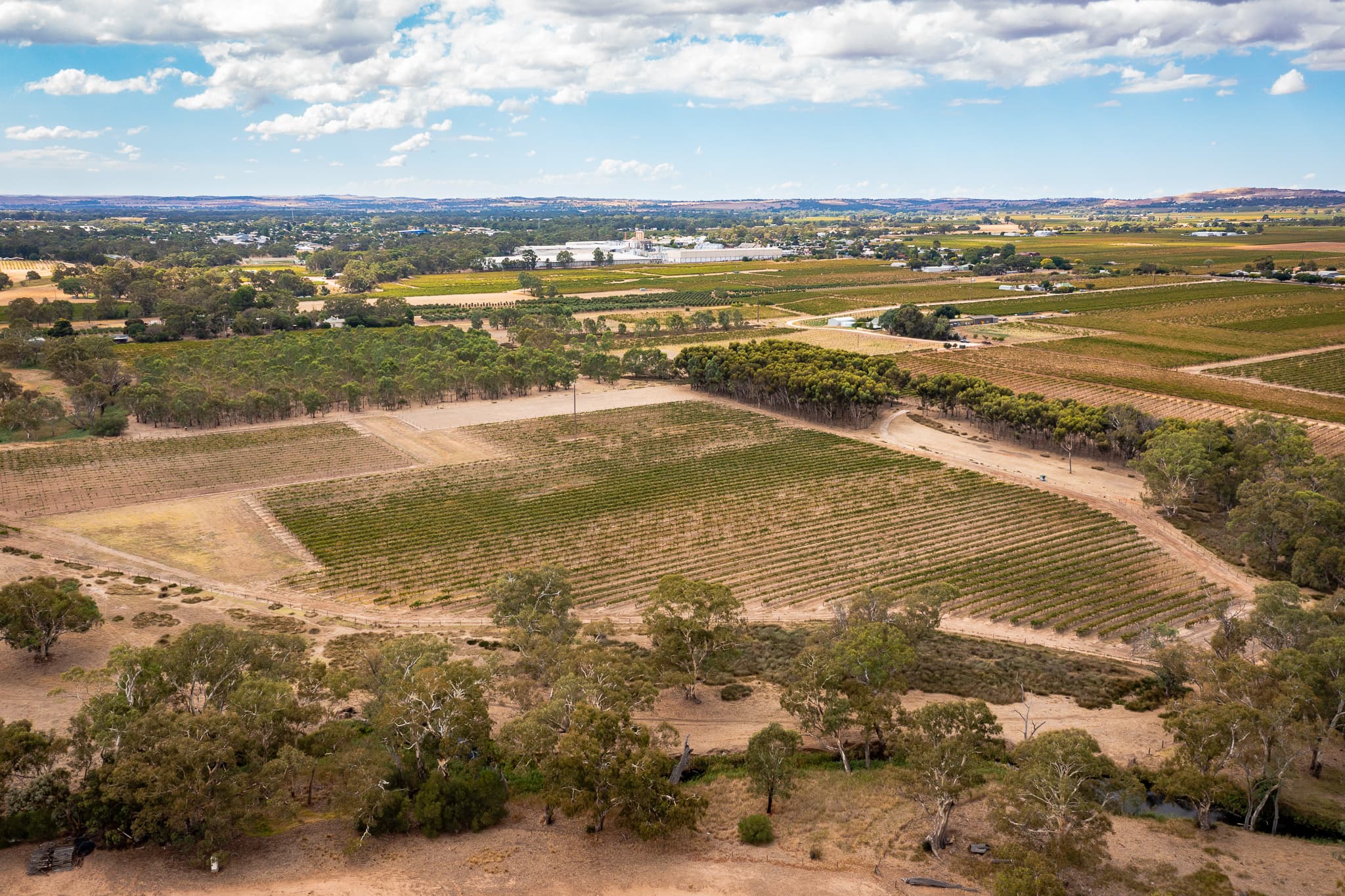 Lot 91 Nuraip Road, NURIOOTPA, Nuriootpa - Thumbnail 2