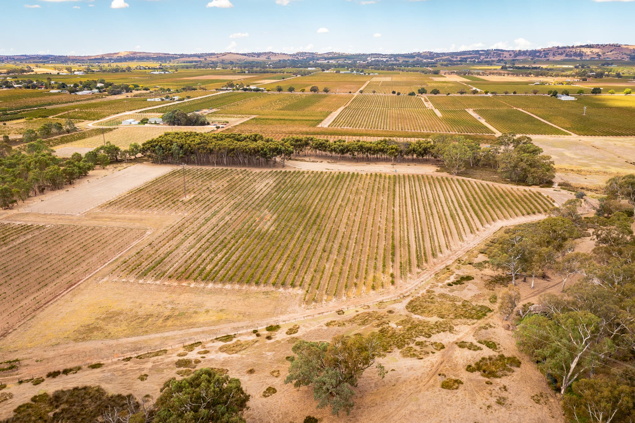 Lot 91 Nuraip Road, NURIOOTPA, Nuriootpa - Thumbnail 4