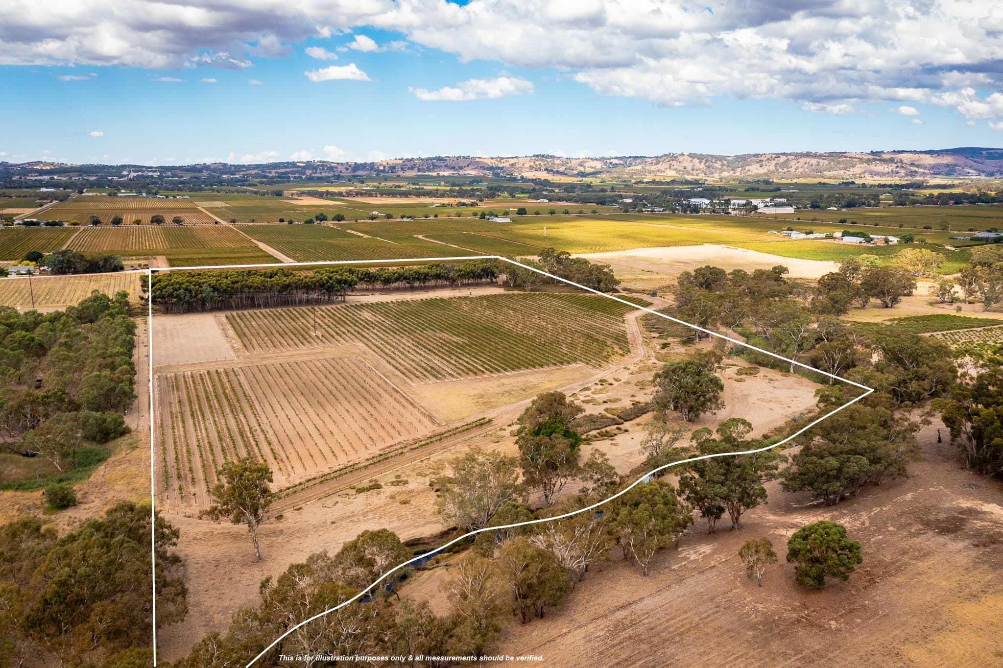 Lot 91 Nuraip Road, NURIOOTPA, Nuriootpa - Image 1