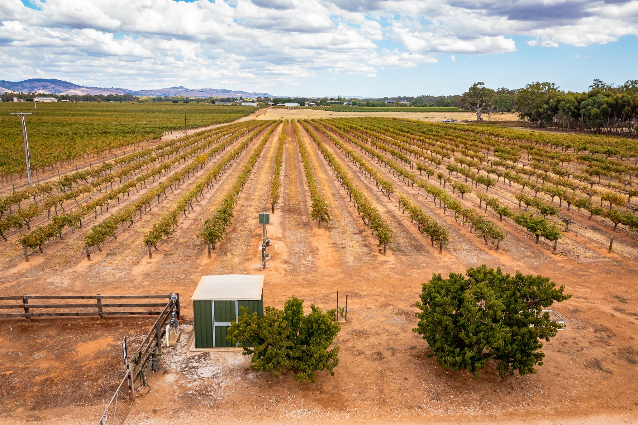 Lot 91 Nuraip Road, NURIOOTPA, Nuriootpa - Thumbnail 5