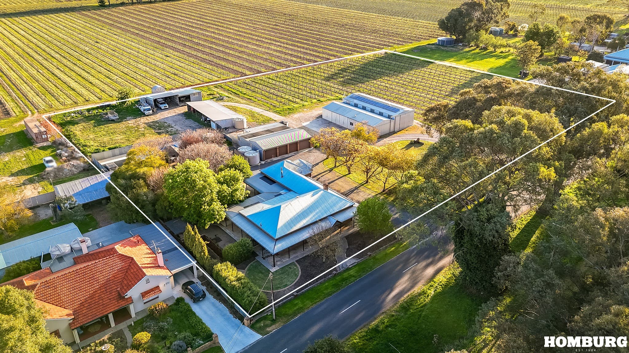 238 Kalimna Road, LIGHT PASS, Light Pass - Image 1