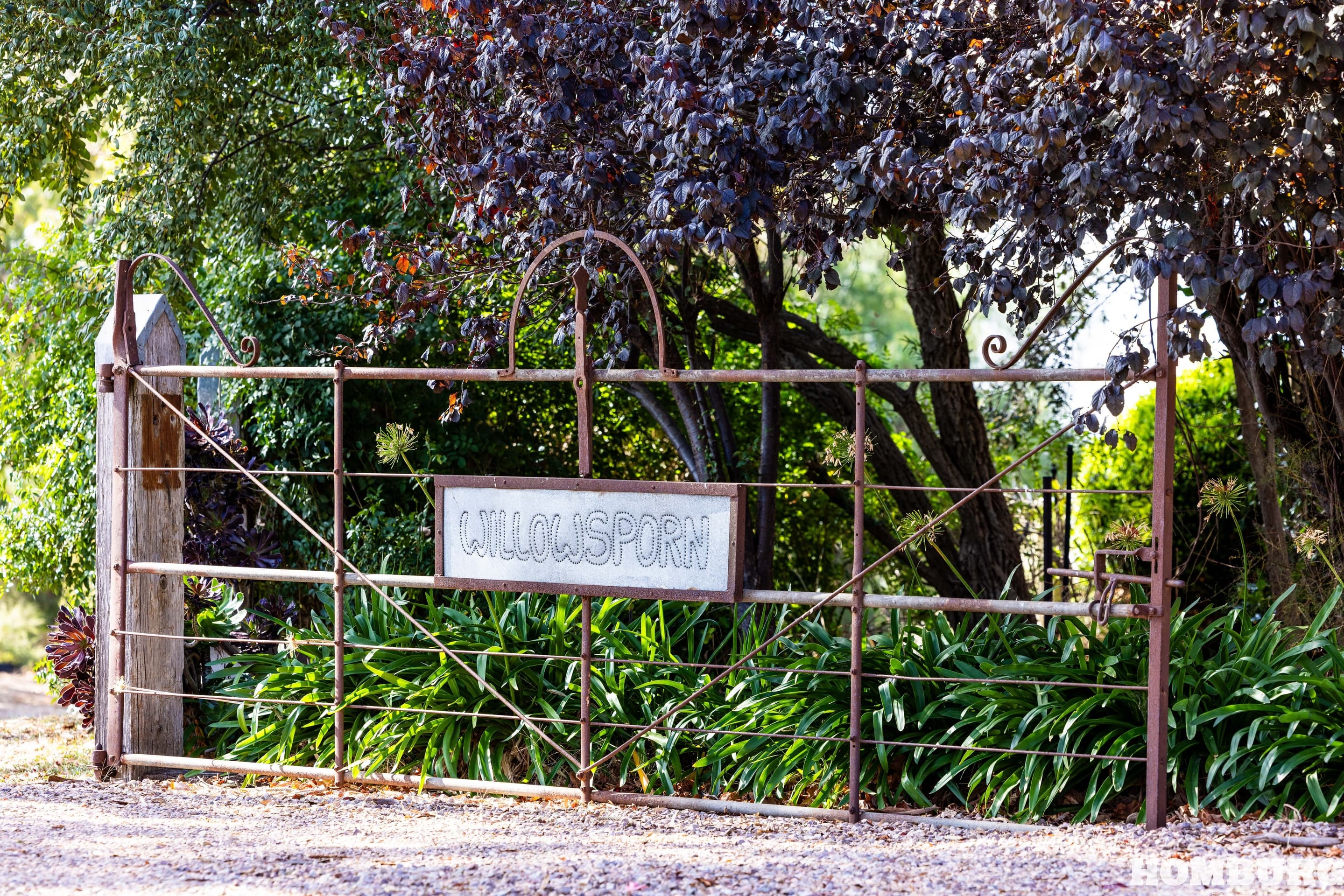 Willowsporn,/210 Willows Road, LIGHT PASS, SA 5355, / - Thumbnail 3
