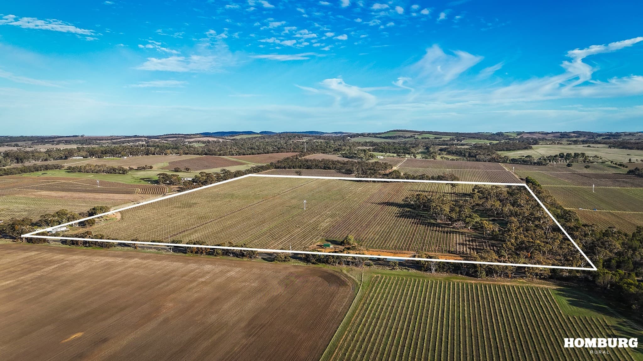 305 Belvidere Road, EBENEZER, Ebenezer - Thumbnail 2