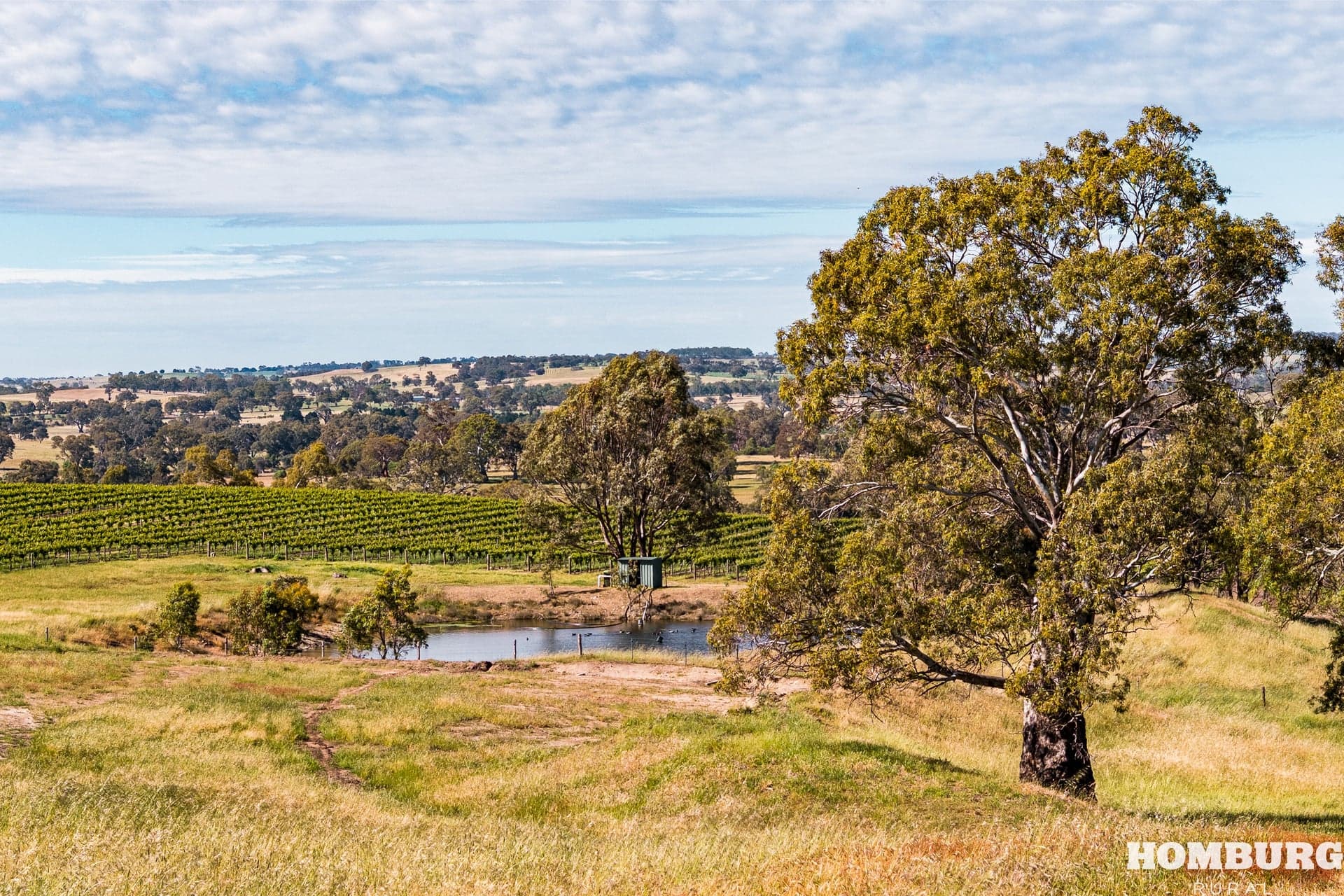 Section 143 Kempe Road, EDEN VALLEY, Eden Valley - Thumbnail 8