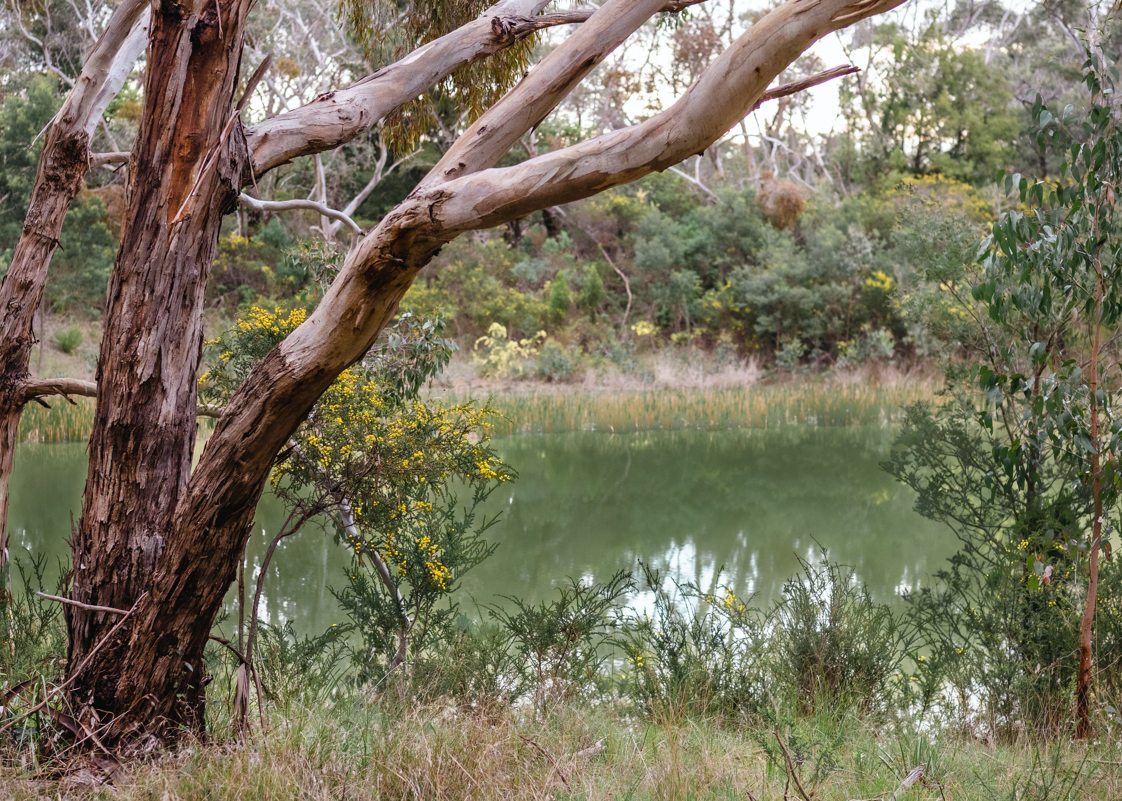 80 Coolart Road, TUERONG, Tuerong - Image 1