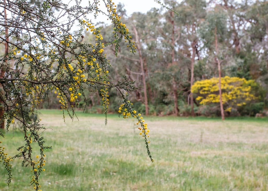 80 Coolart Road, TUERONG, Tuerong - Thumbnail 5