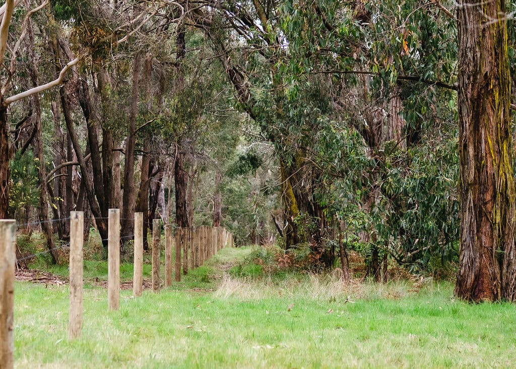 80 Coolart Road, TUERONG, Tuerong - Thumbnail 3