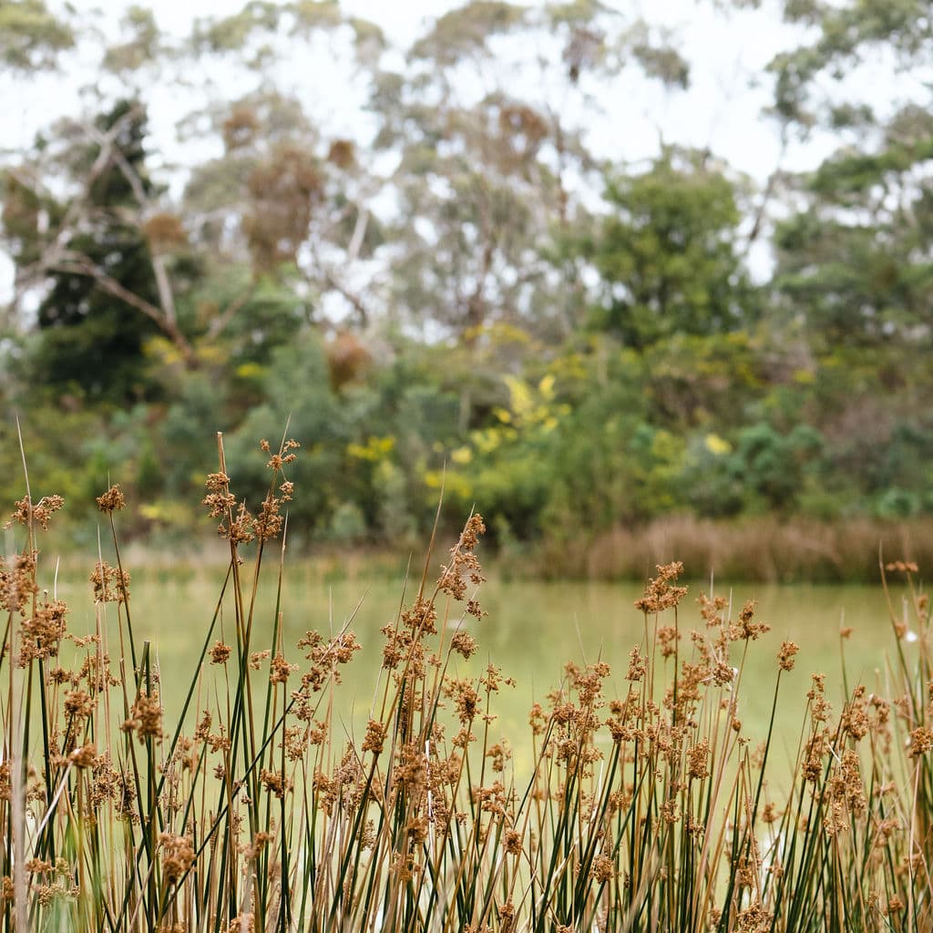 80 Coolart Road, TUERONG, Tuerong - Thumbnail 6