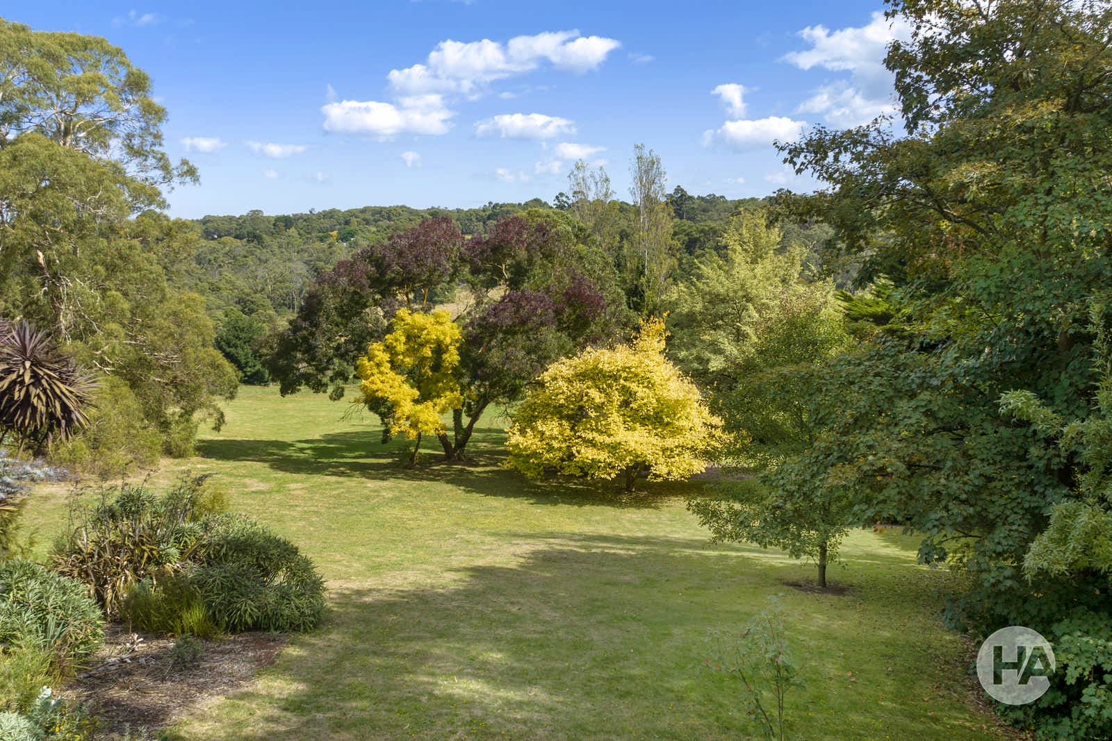 22 Valley View Lane, MAIN RIDGE, Main Ridge - Thumbnail 2