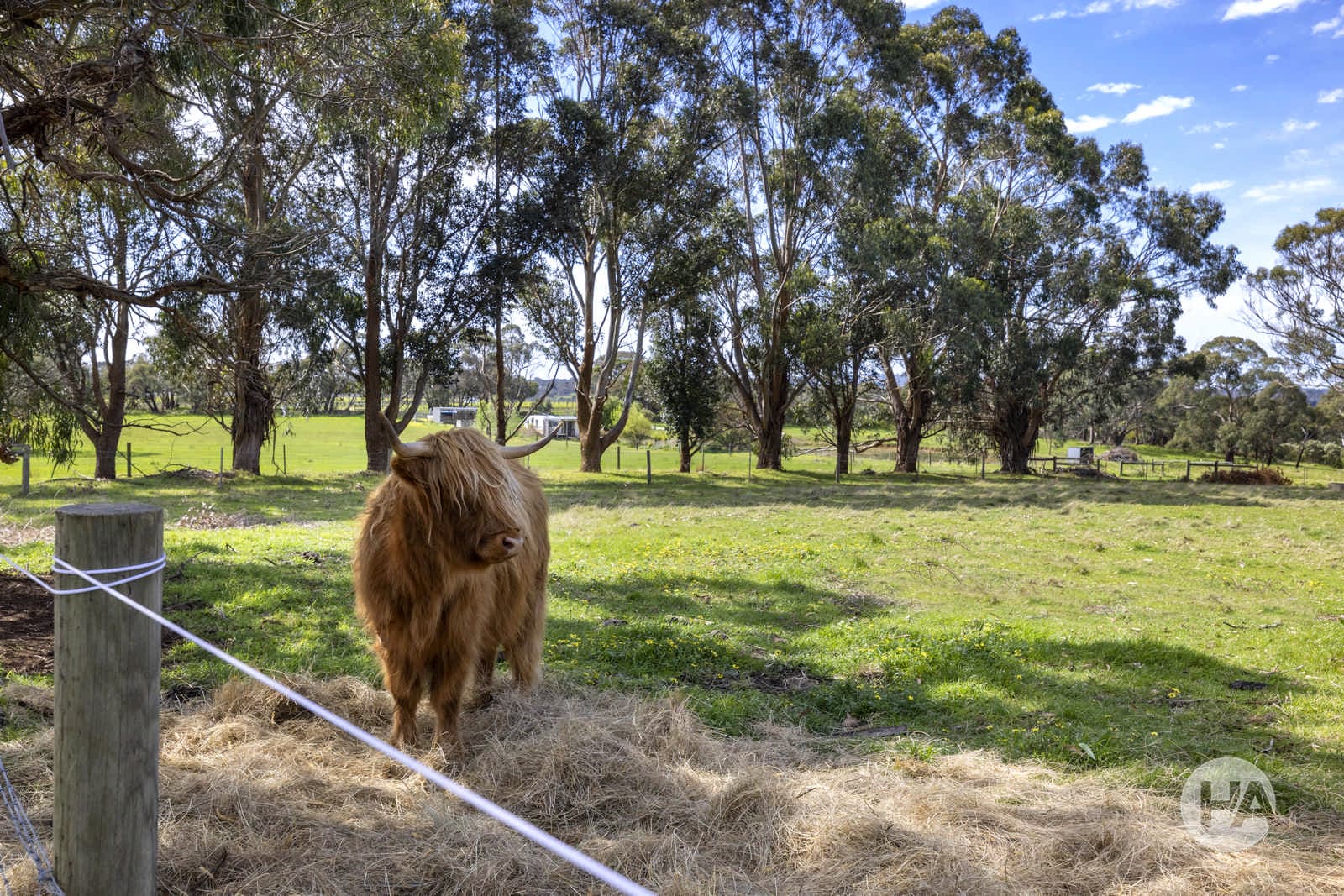 335 Old Moorooduc Road, TUERONG, Tuerong - Image 1