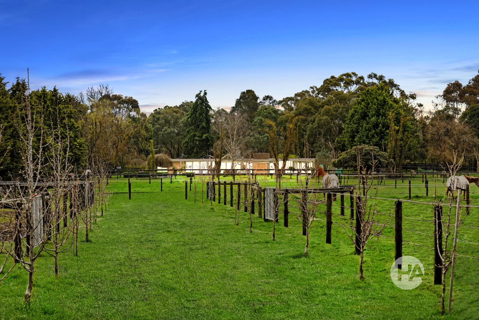 80 Queens Road, PEARCEDALE, Pearcedale - Image 1