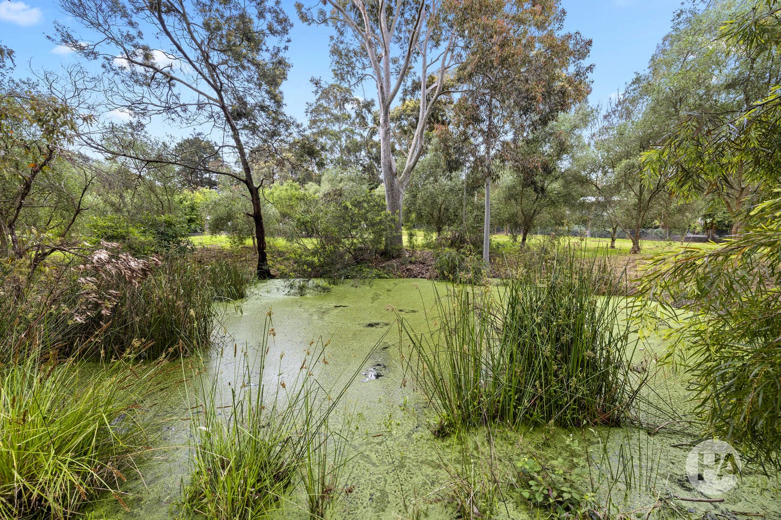 21 Wellington Road, TYABB, Tyabb - Thumbnail 6