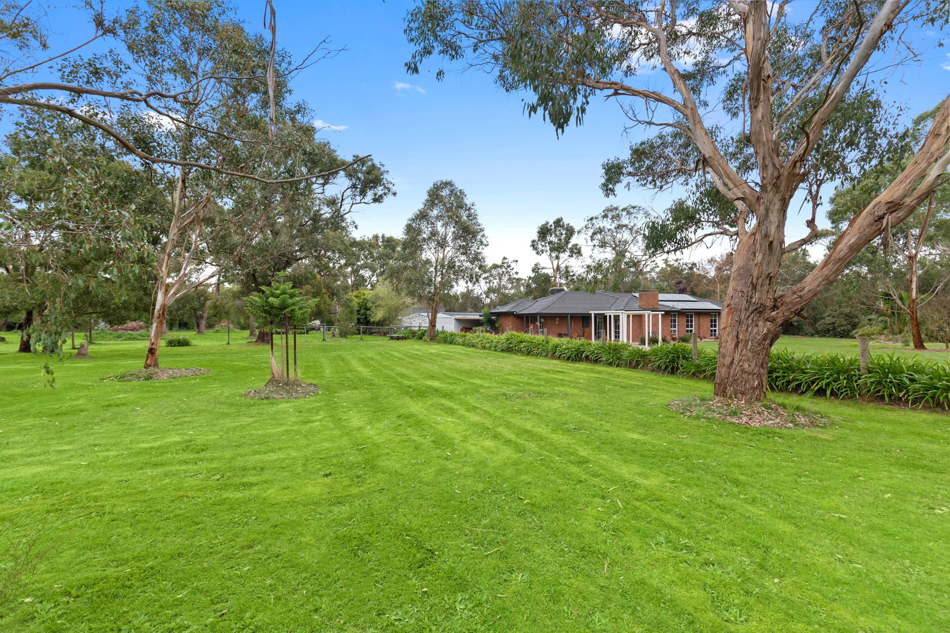 37 Blackburn Street, BITTERN, Bittern - Image 1