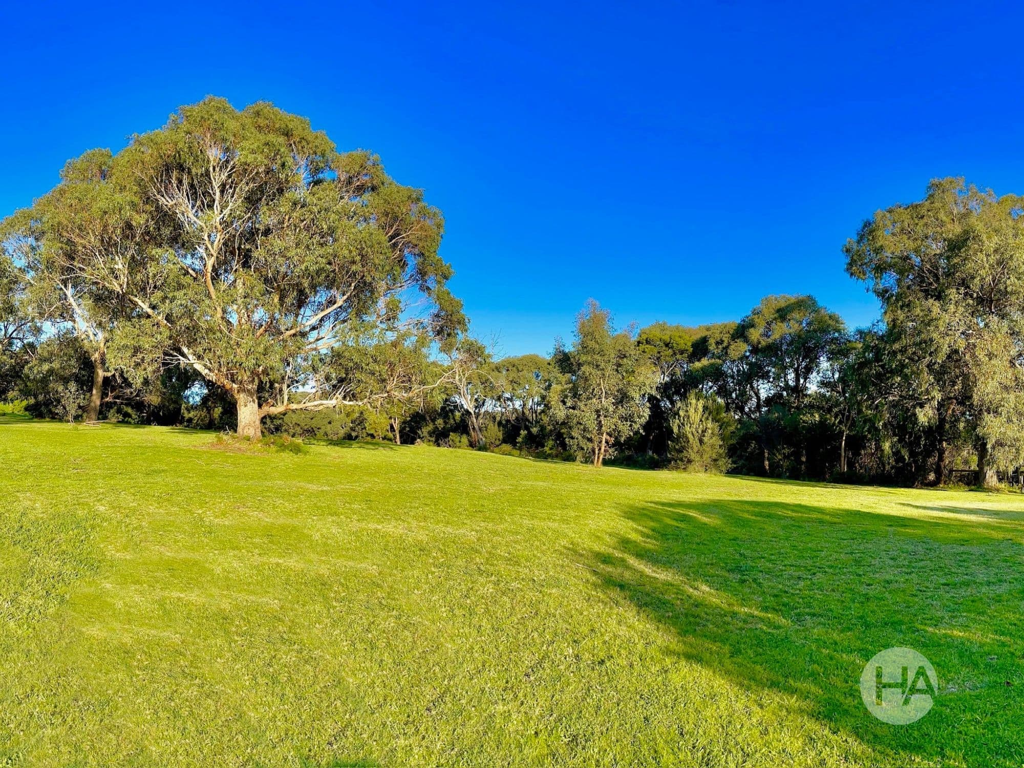 12 Angley Rise, ROSEBUD, Rosebud - Thumbnail 6