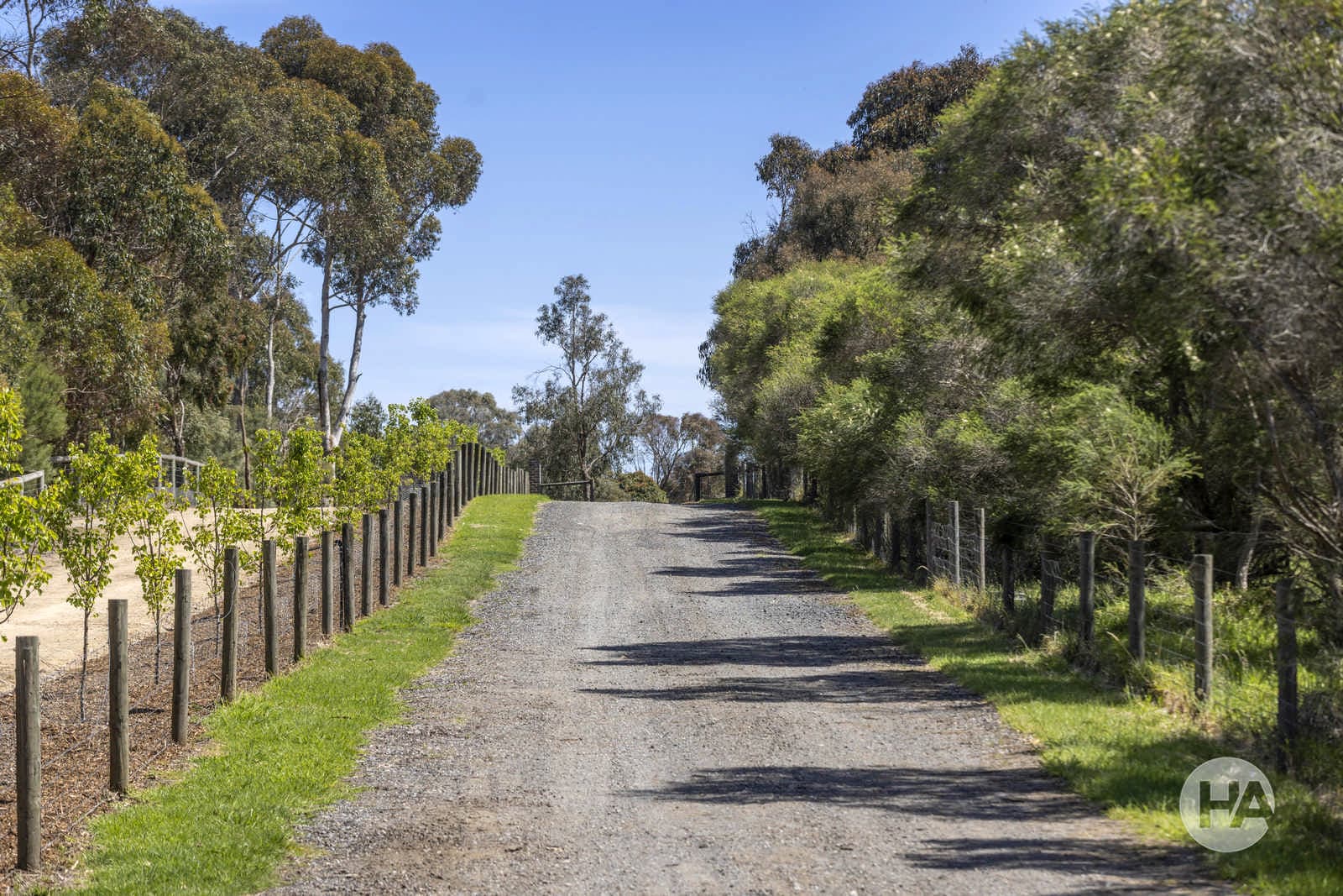 105 Highfield Drive, LANGWARRIN SOUTH, Langwarrin South - Thumbnail 5
