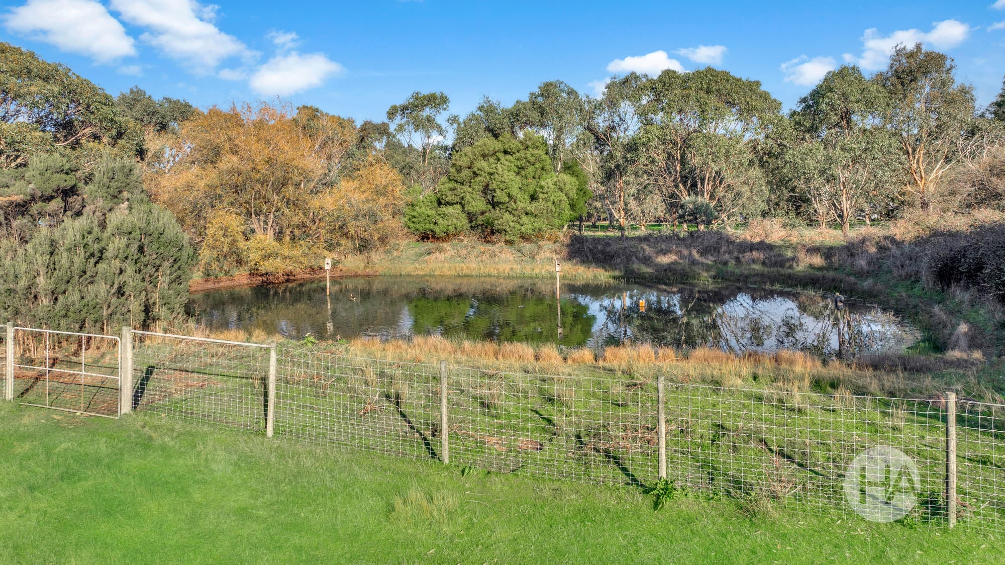 610 Stumpy Gully Road, TUERONG, Tuerong - Thumbnail 4