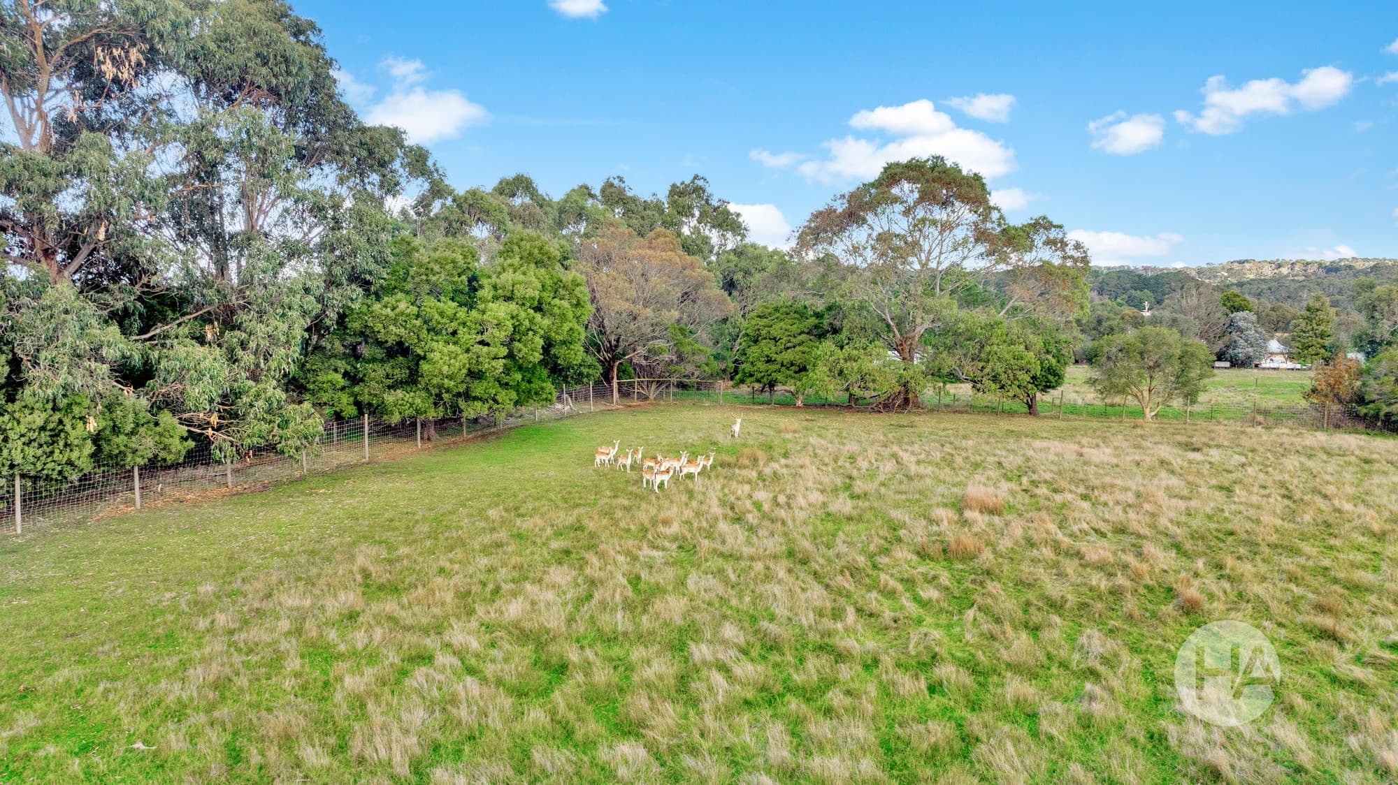 610 Stumpy Gully Road, TUERONG, Tuerong - Thumbnail 3