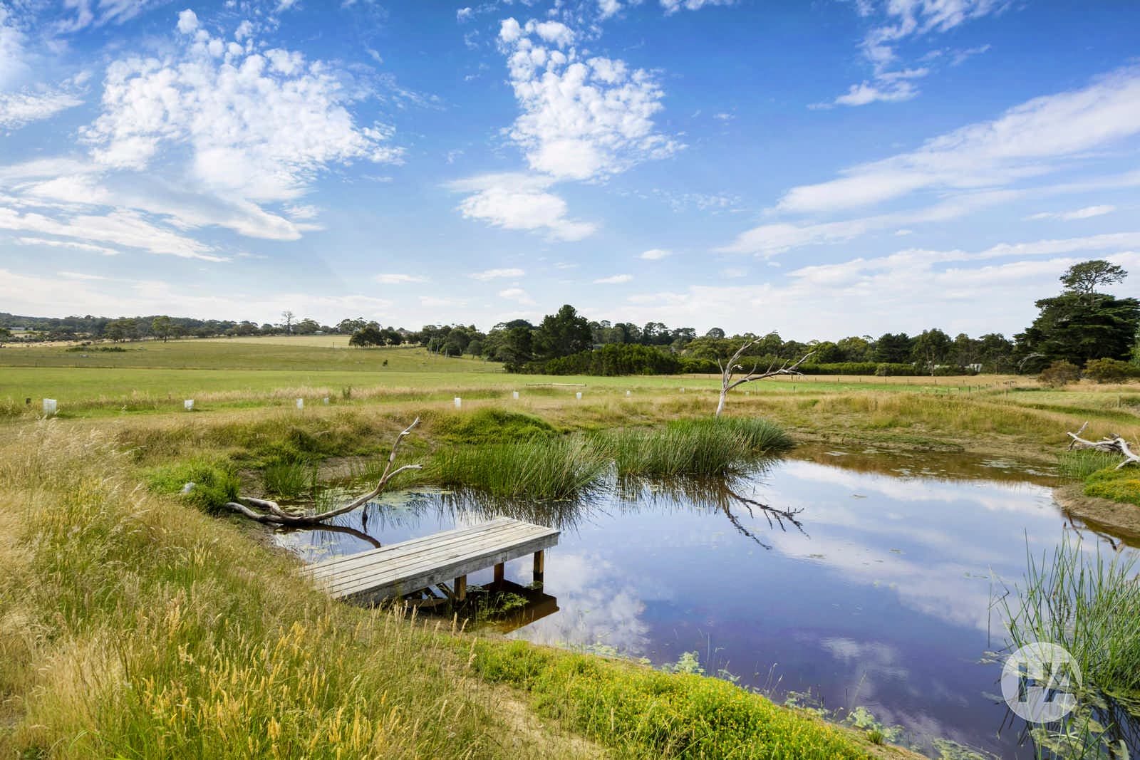 3530 Frankston Flinders Road, MERRICKS, Merricks - Thumbnail 4