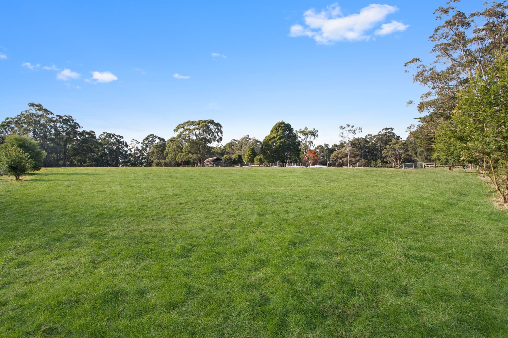 50 Knotts Siding Road, RAWSON, Rawson - Thumbnail 6