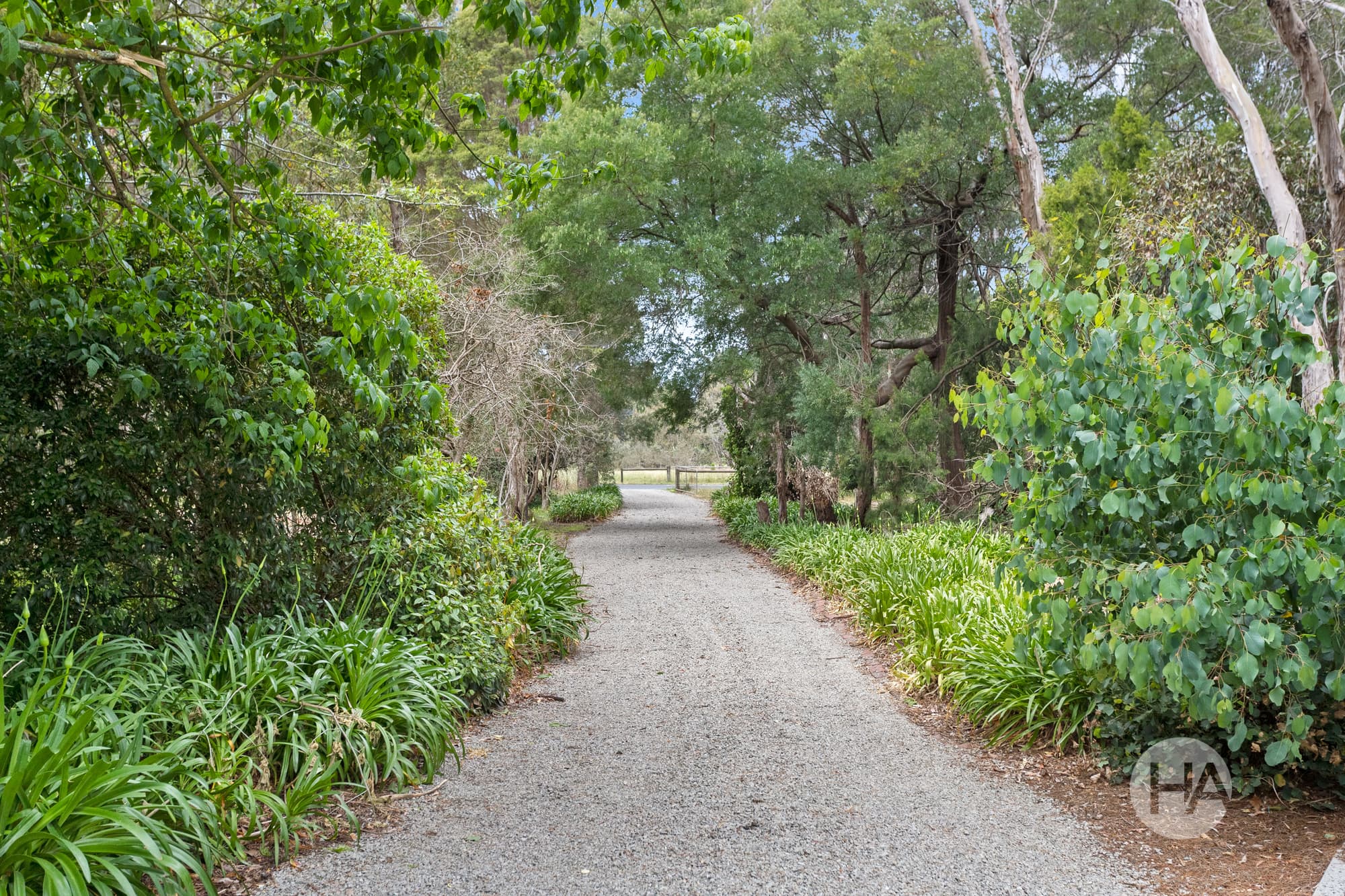 24 Boes Road, HASTINGS, Hastings - Thumbnail 2