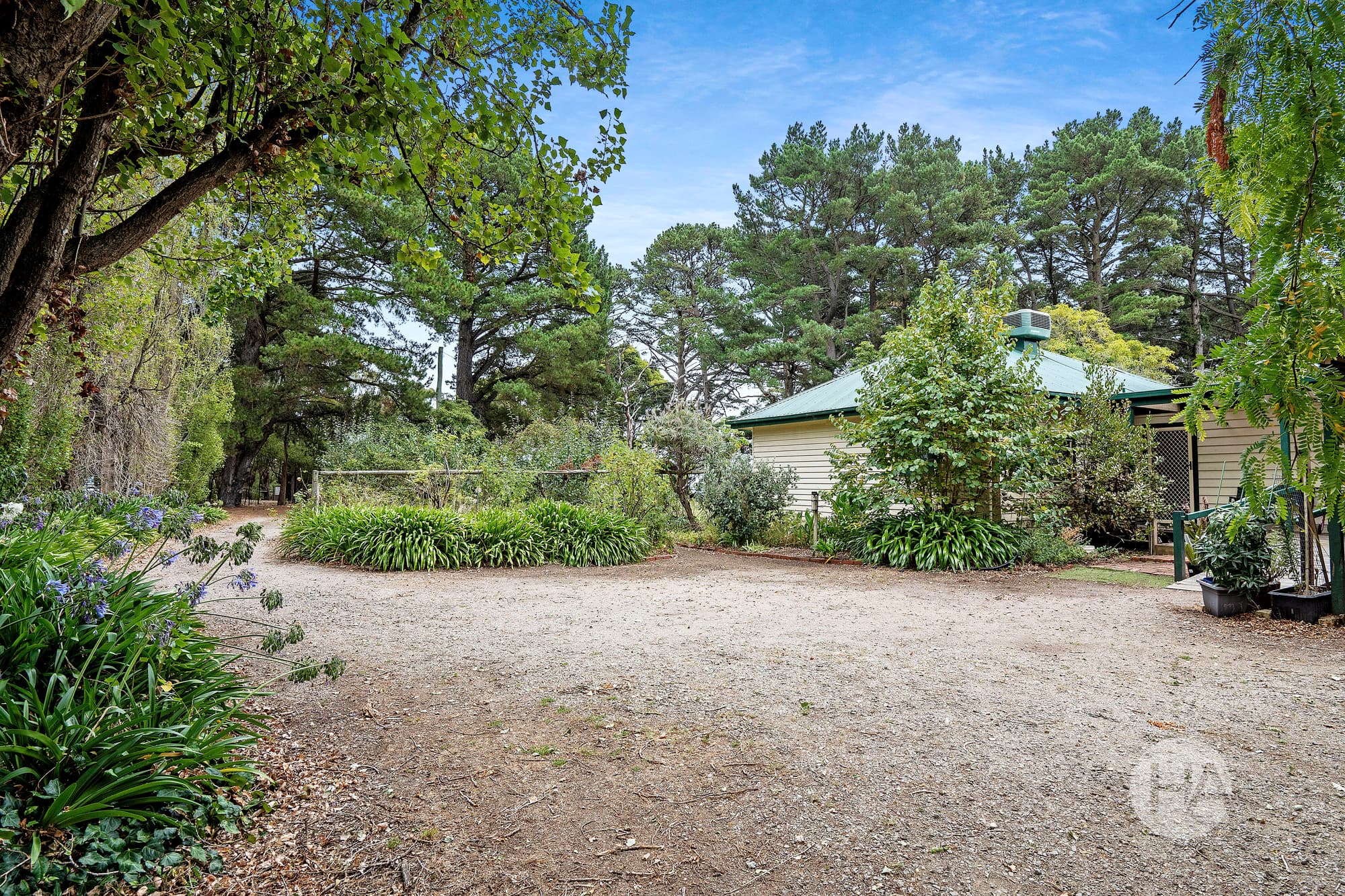 487 Purves Road, MAIN RIDGE, Main Ridge - Thumbnail 7