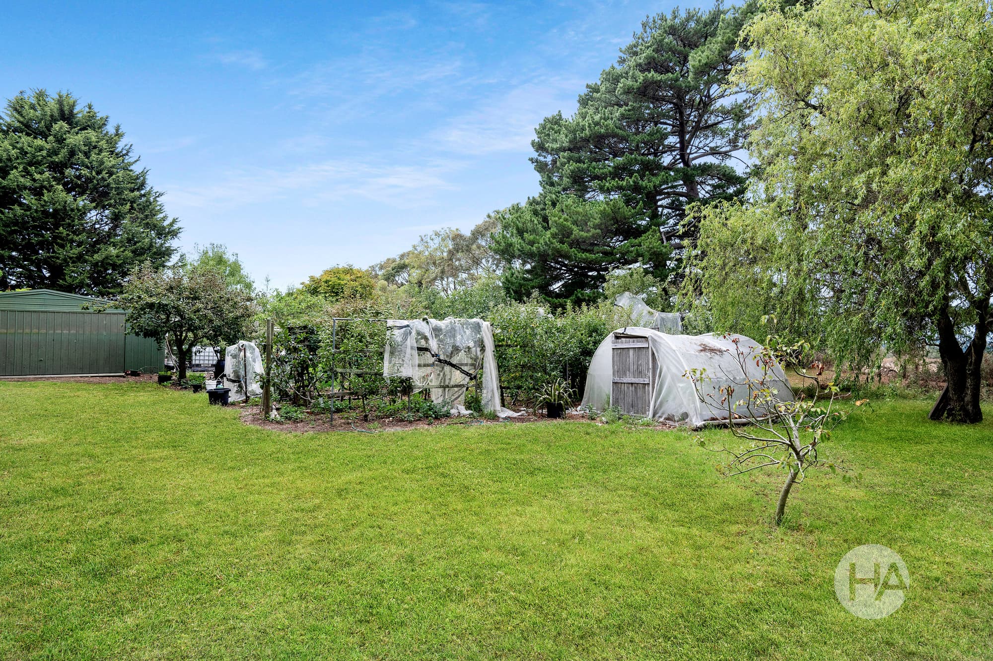 487 Purves Road, MAIN RIDGE, Main Ridge - Thumbnail 8