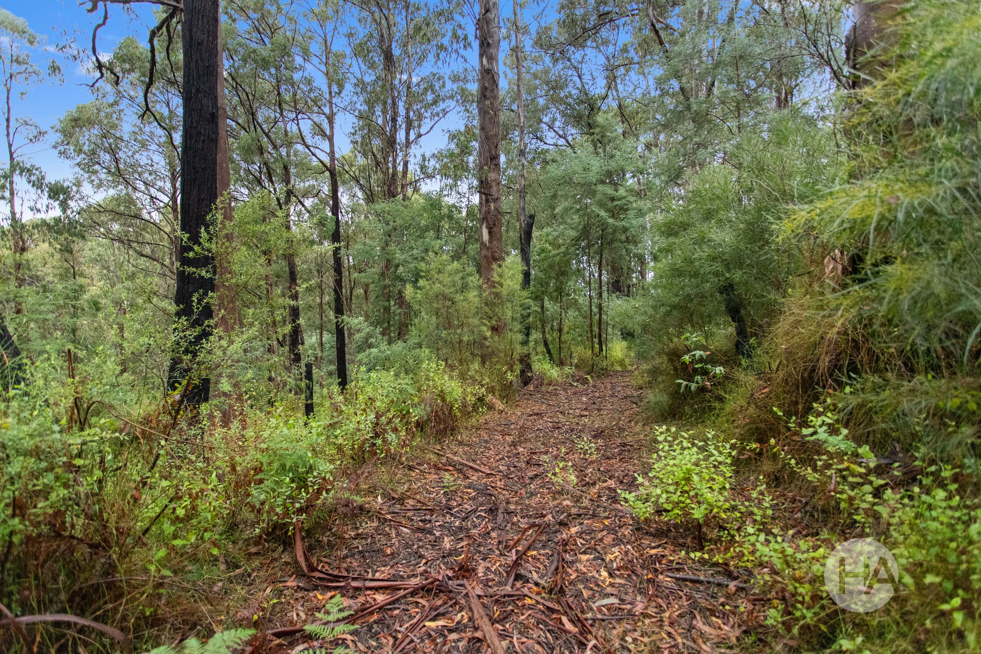 10/4 Old Coach Road, WALHALLA, Walhalla - Thumbnail 3
