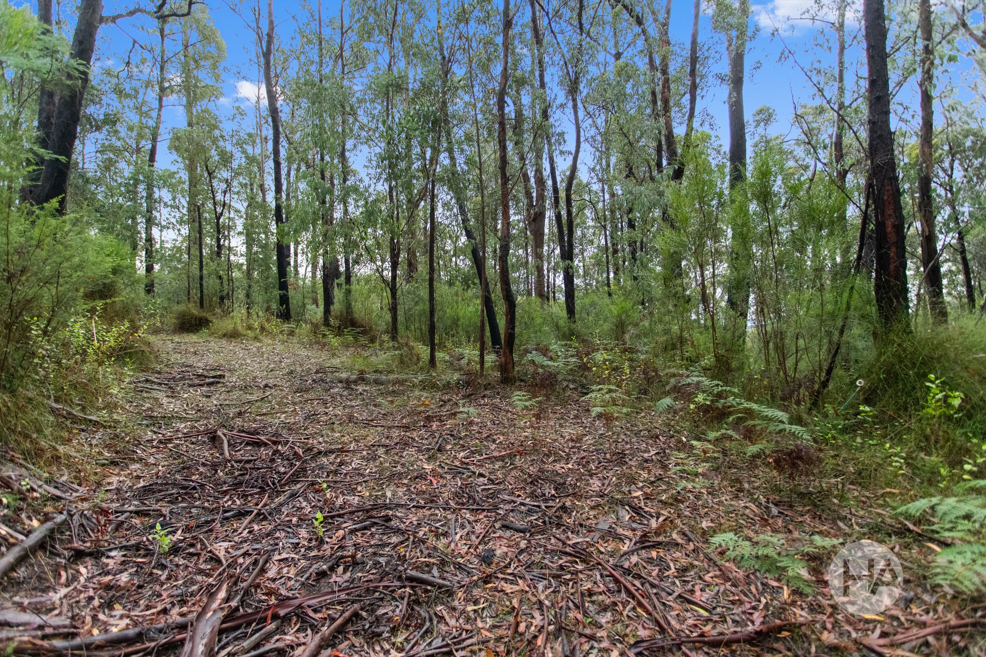 10/4 Old Coach Road, WALHALLA, Walhalla - Thumbnail 2