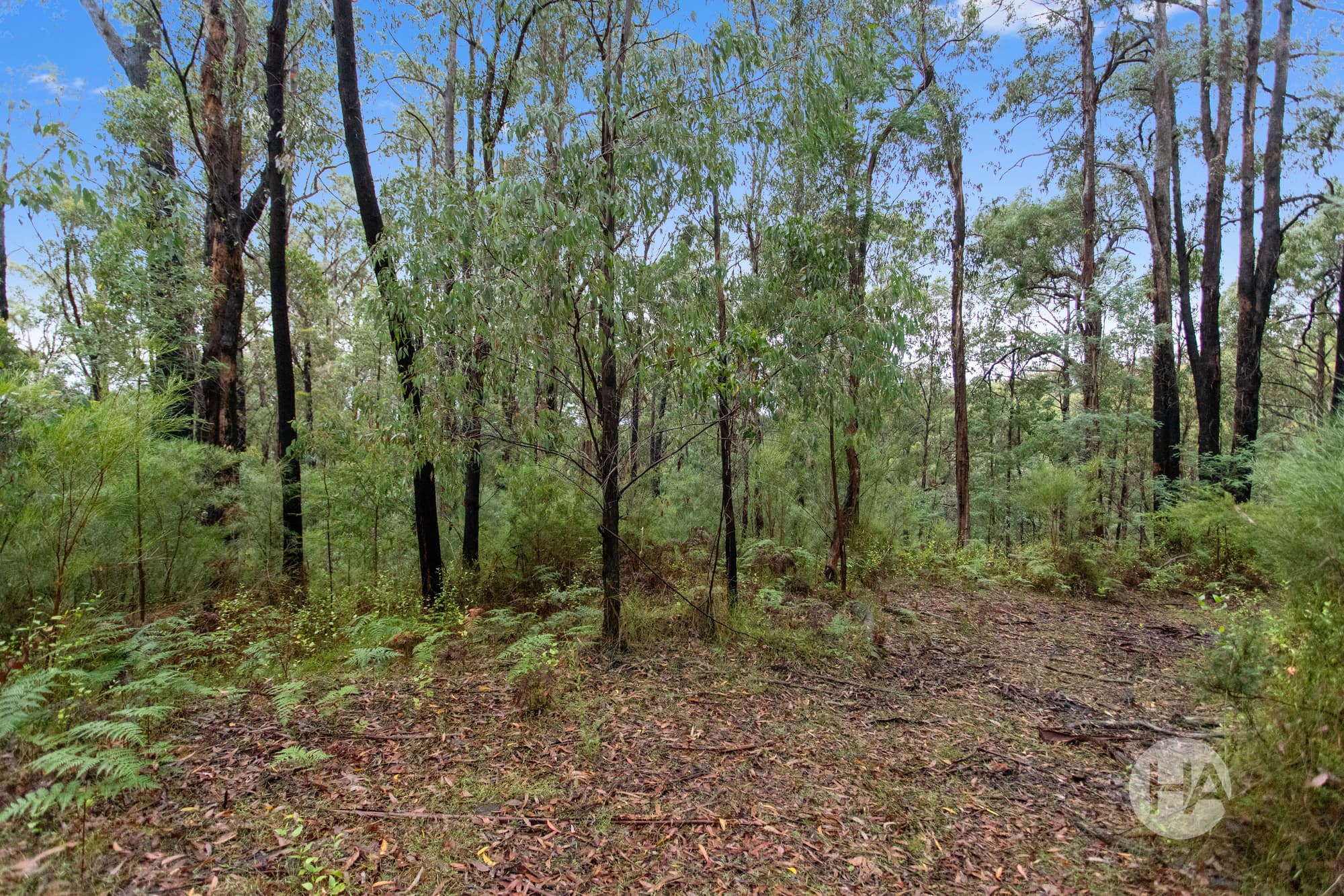 10/4 Old Coach Road, WALHALLA, Walhalla - Image 1