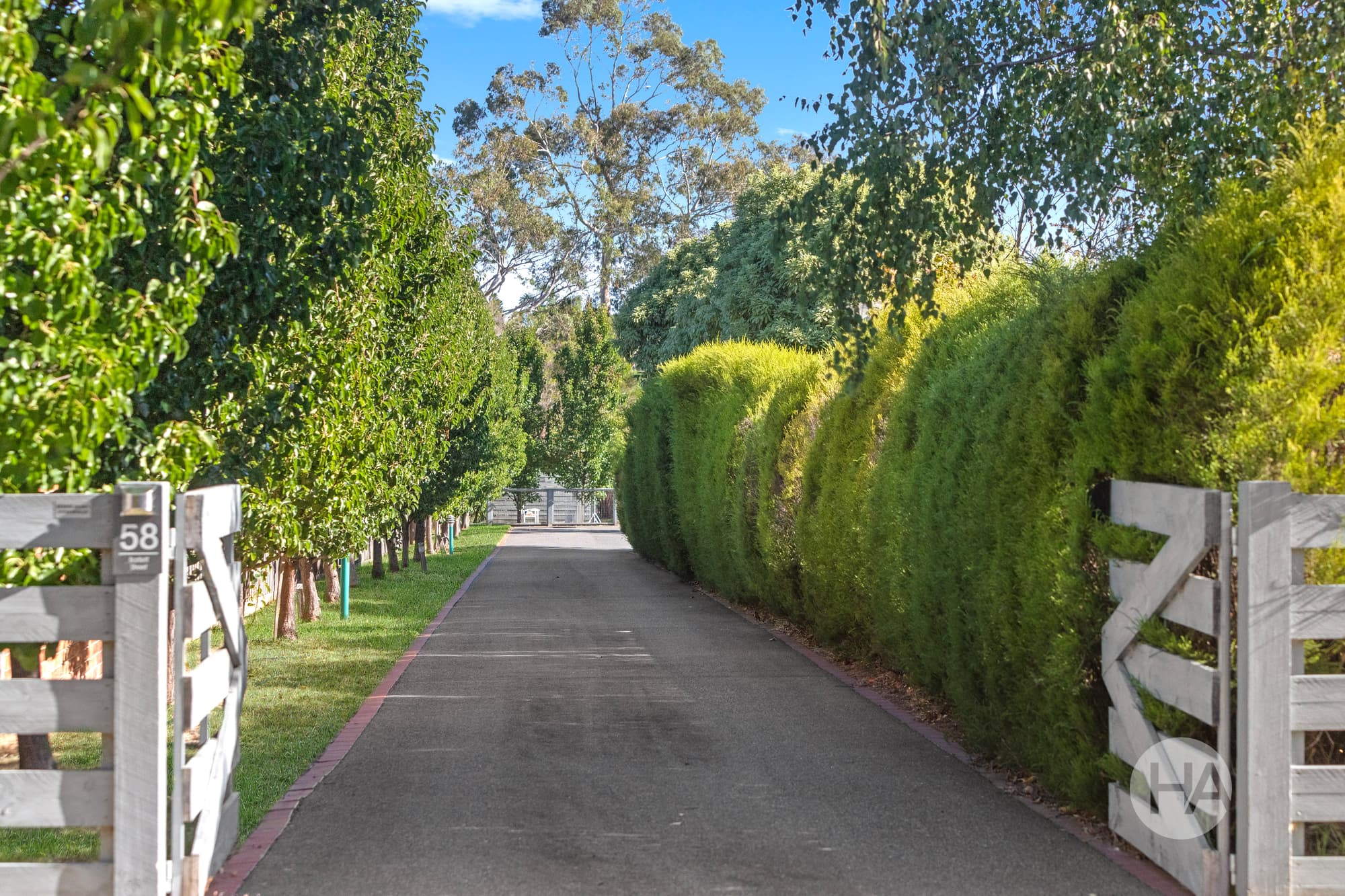 58 Bartlett Street, FRANKSTON SOUTH, Frankston South - Thumbnail 2