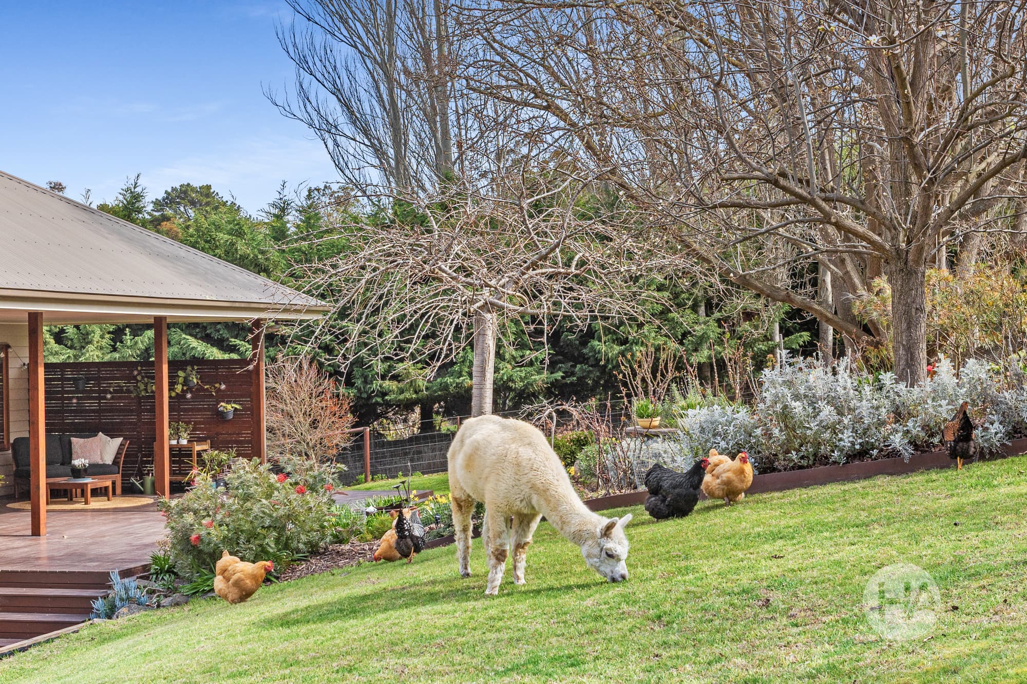 232 Moorooduc Highway, MOUNT ELIZA, Mount Eliza - Thumbnail 2