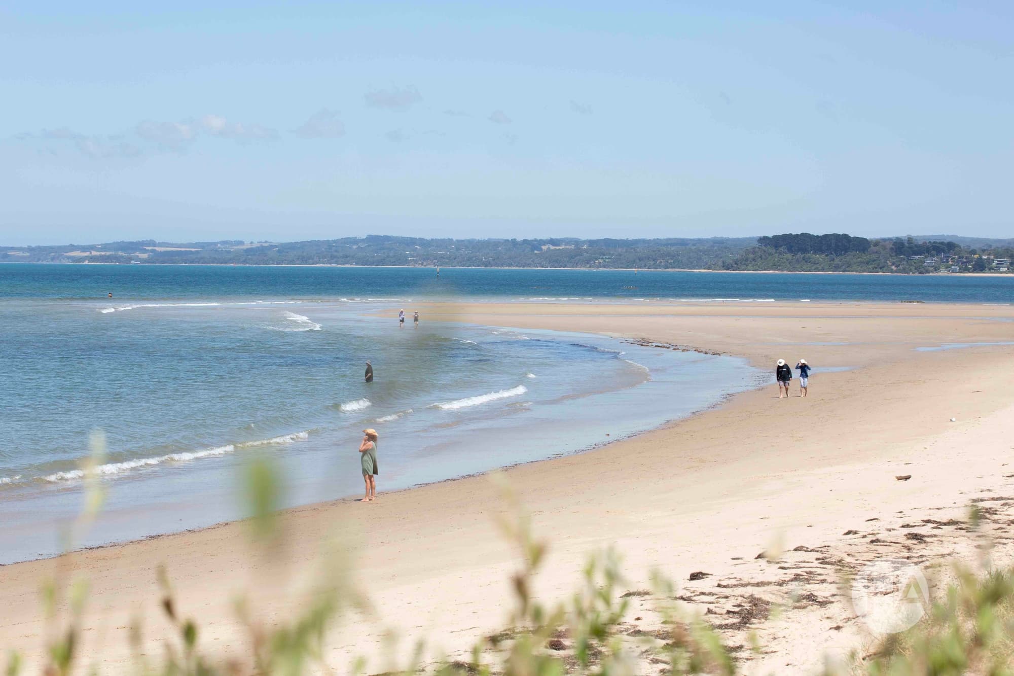 2 Reserve Road, SOMERS, Somers - Thumbnail 2