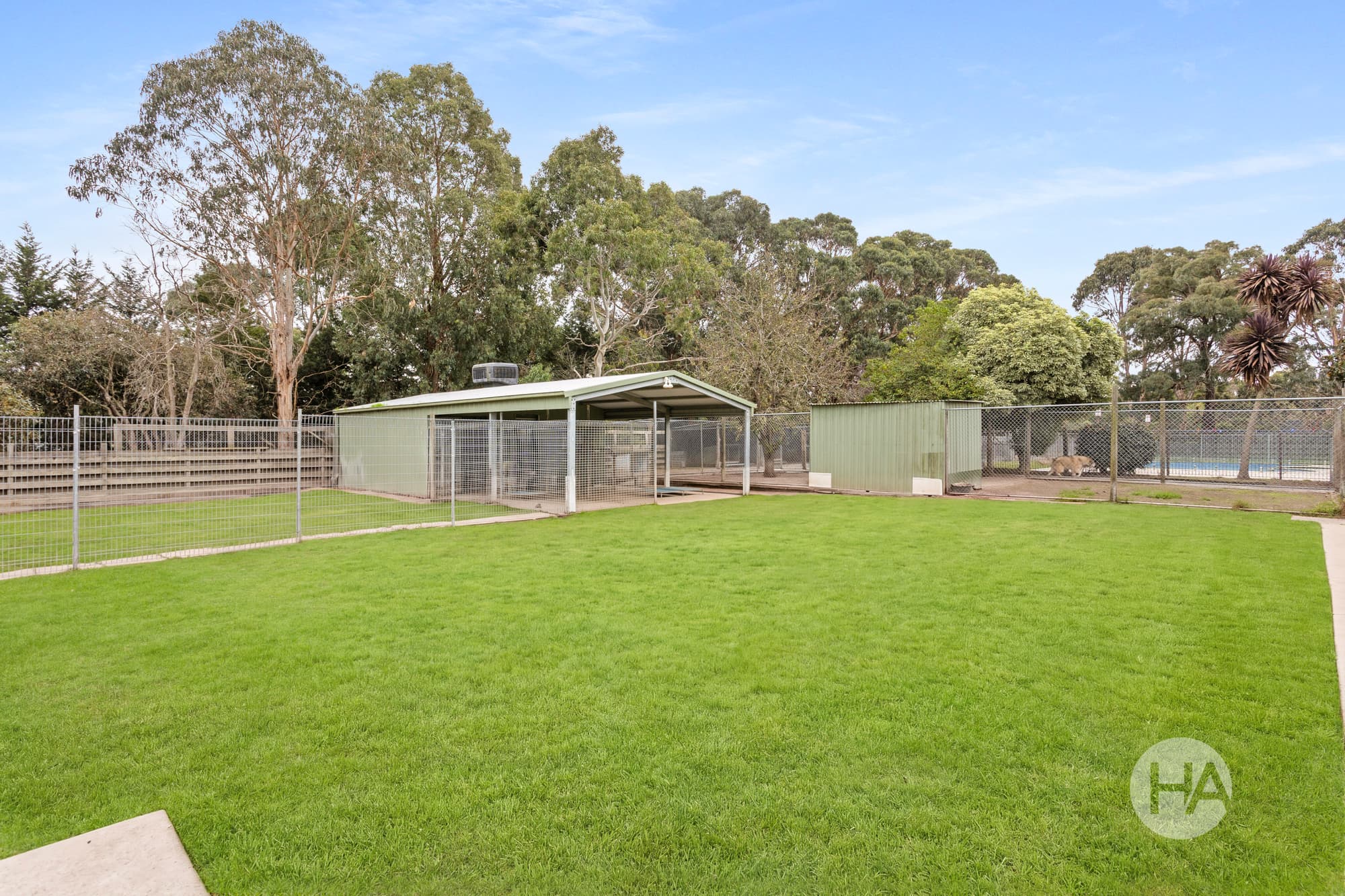 3 Martin Street, PEARCEDALE, Pearcedale - Thumbnail 7