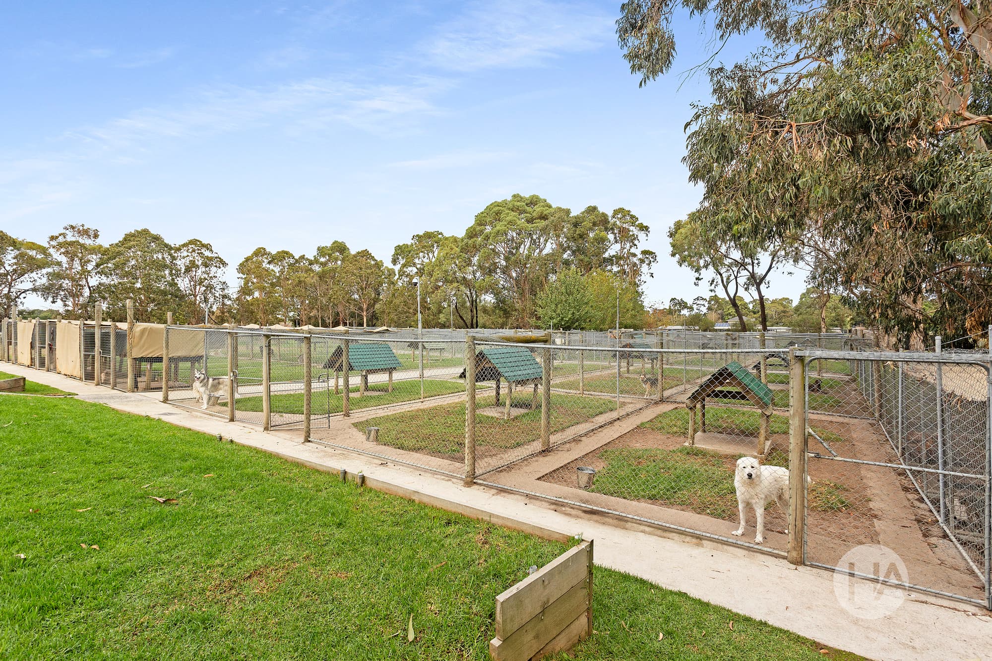 3 Martin Street, PEARCEDALE, Pearcedale - Thumbnail 8