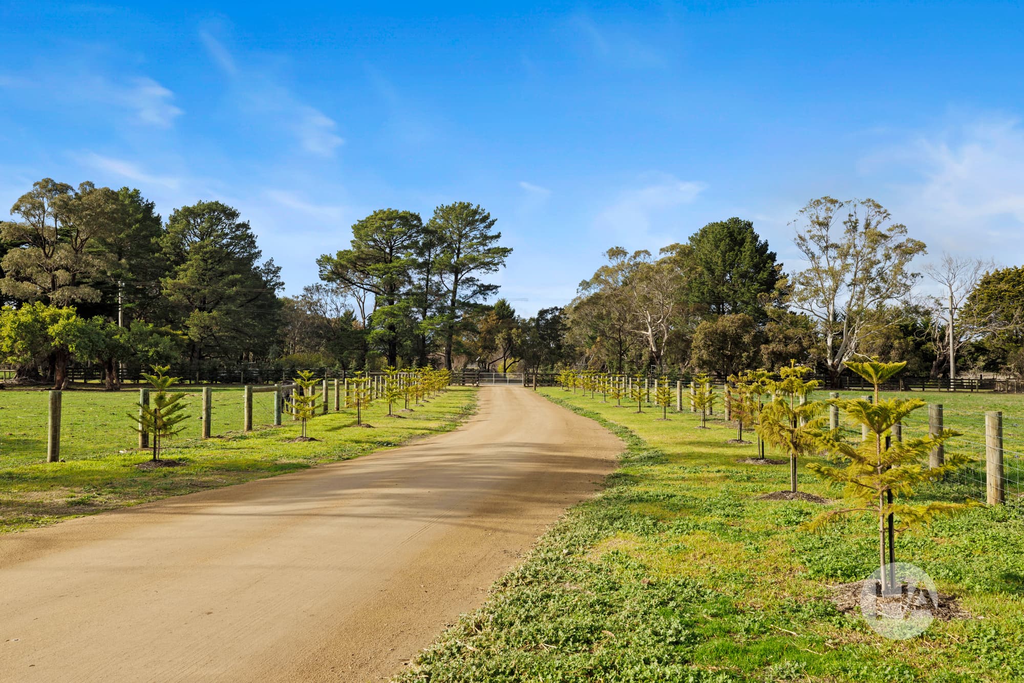 232 Coolart Road, MOOROODUC, Moorooduc - Thumbnail 2
