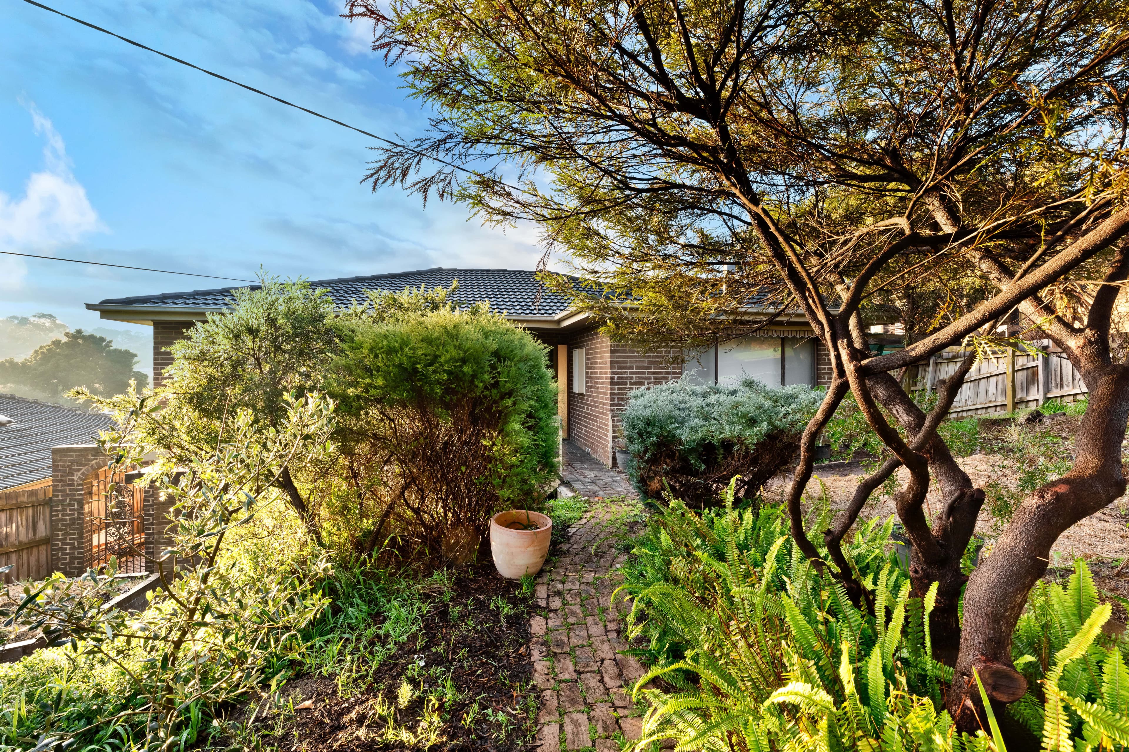Diamond Creek, Diamond Creek - Image 1