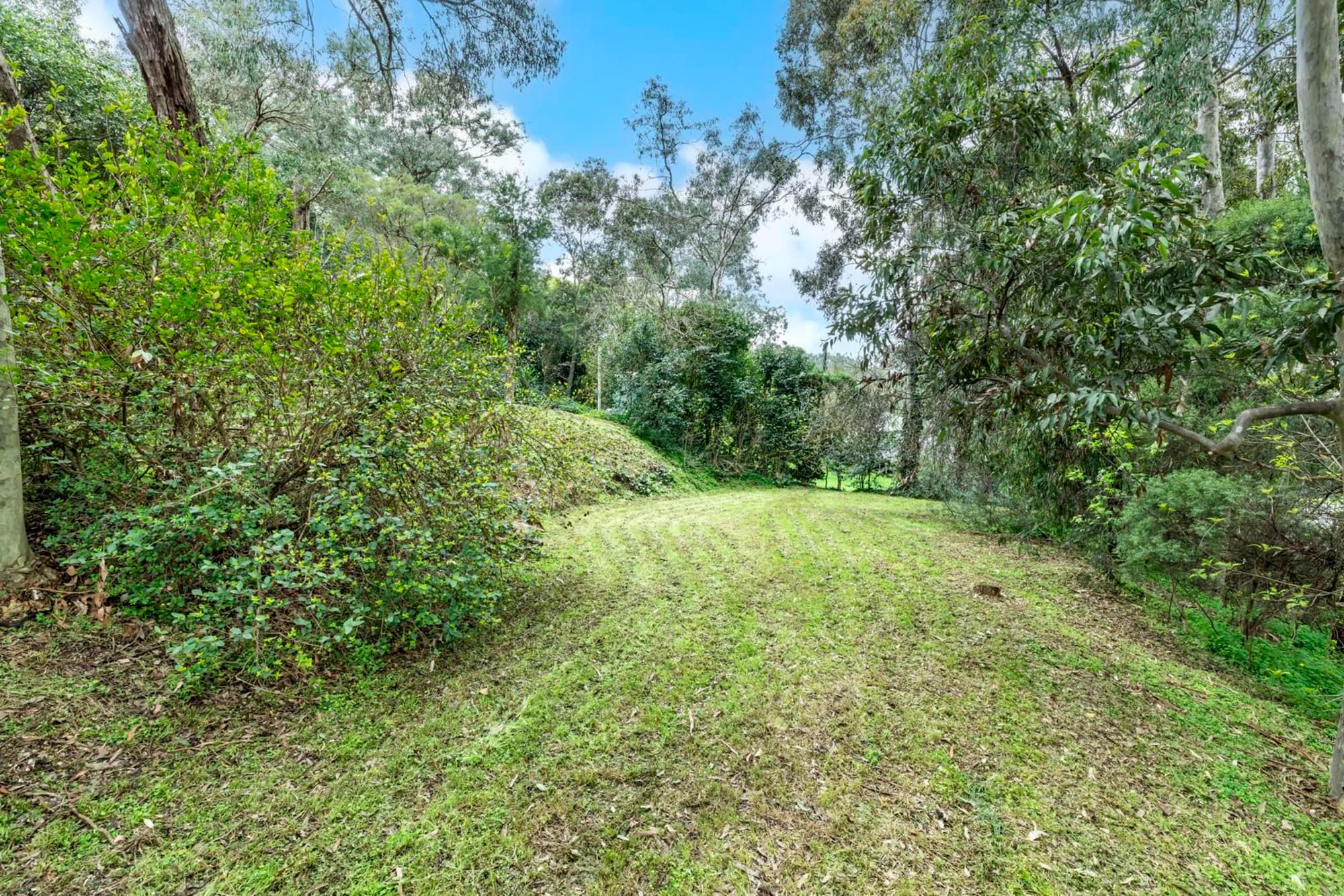 2/97 Orchard Avenue, Eltham North, Eltham North - Thumbnail 7