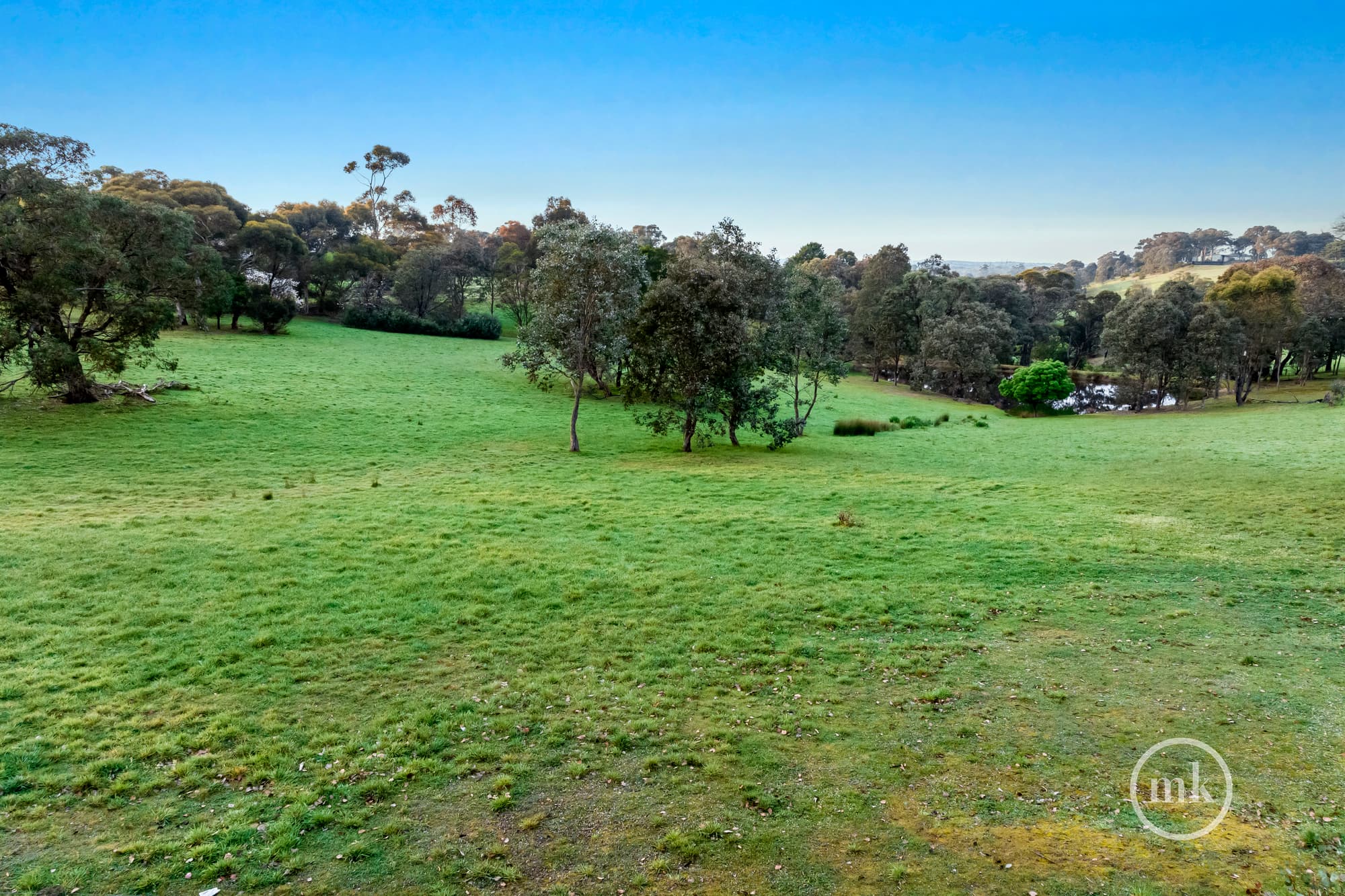 Diamond Creek, Diamond Creek - Image 1